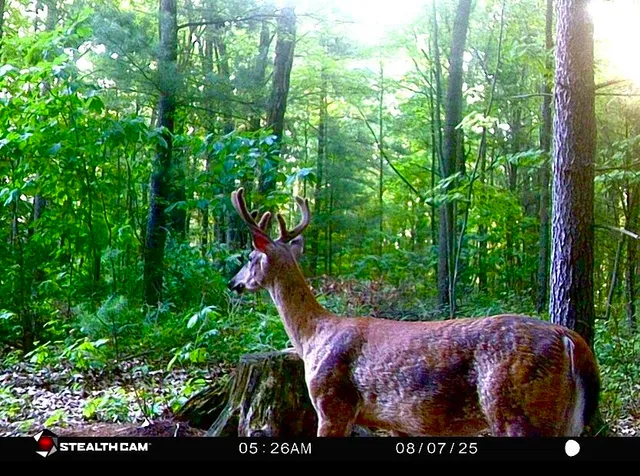 $485,000 | 6330 Timberland Drive, Fruitport, MI 49415