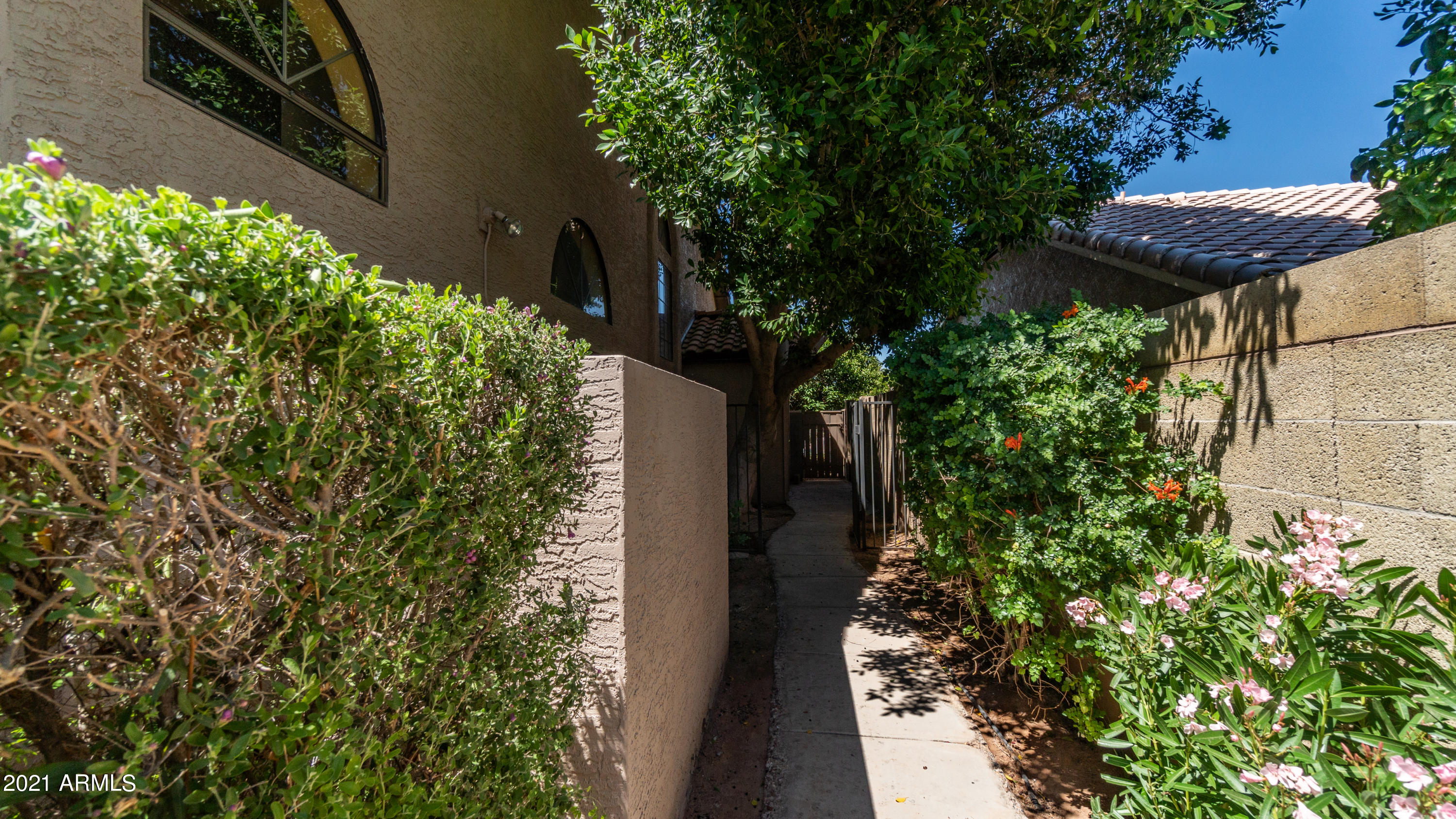 1831 East Colt Road Tempe, AZ 85284 - Photo 47 of 55 Sideyard_Storage Shed
