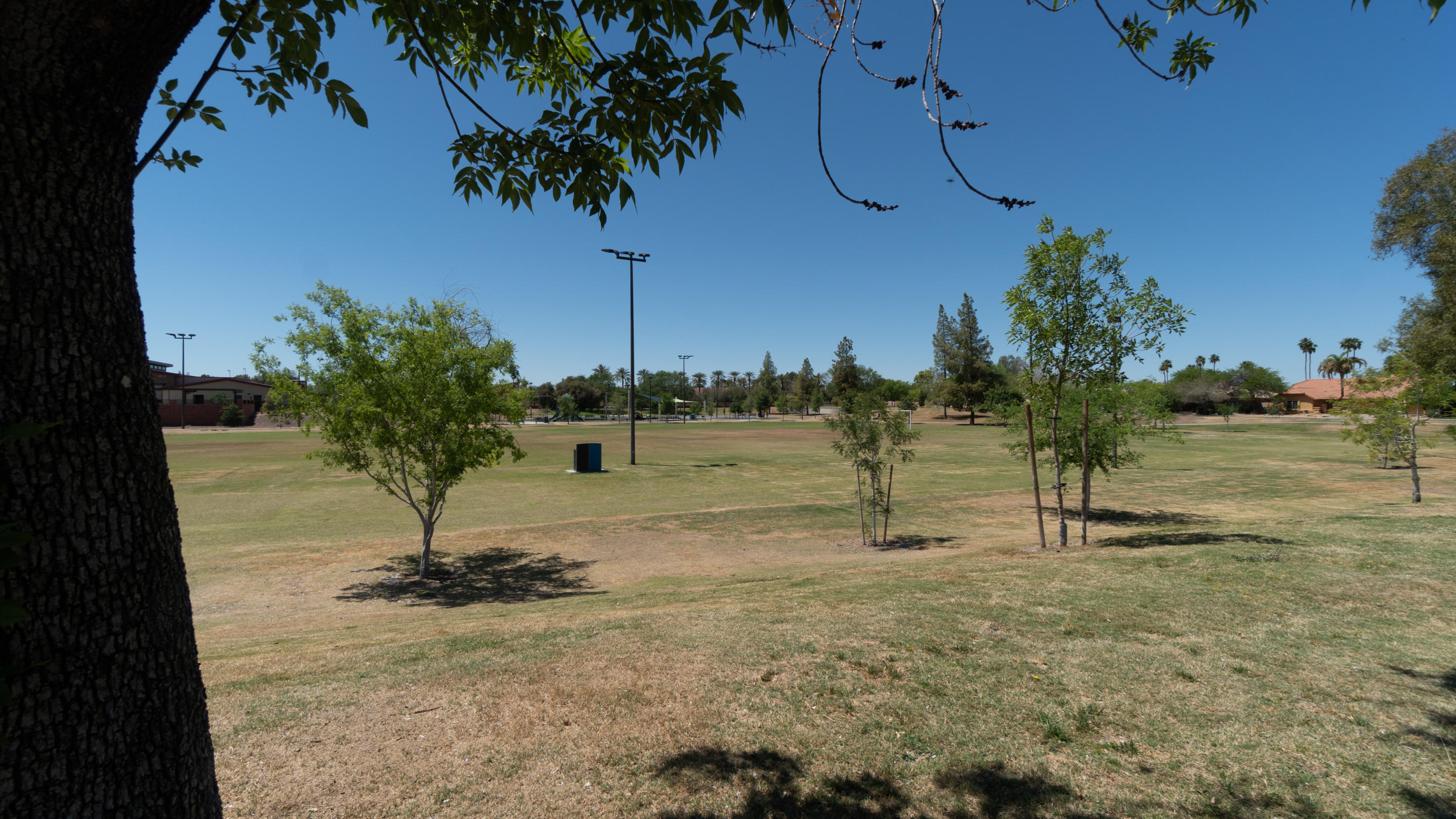 1831 East Colt Road Tempe, AZ 85284 - Photo 54 of 55 Park
