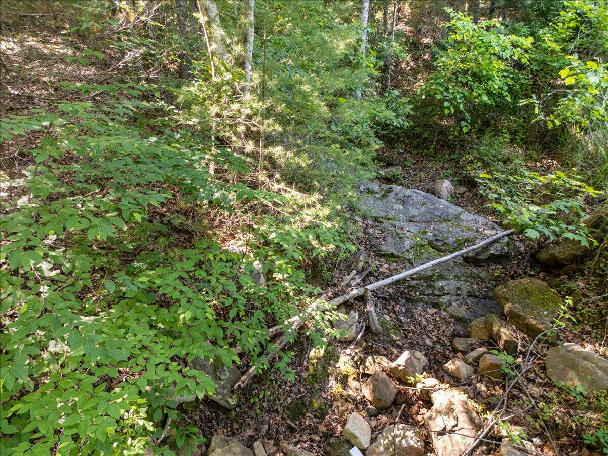 56 Craig Woods Road New Castle, VA 24127 - Photo 55 of 70 57-1000037252
