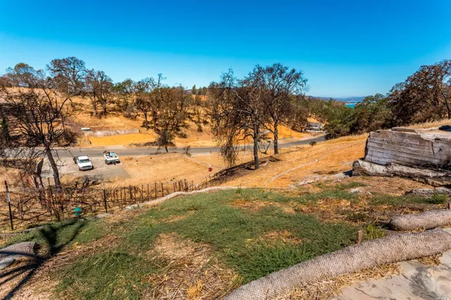 a view of a yard with mountain view in back