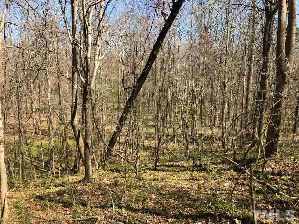 Tbd Mill Creek Road Roxboro, NC 27574 - Photo 11 of 29