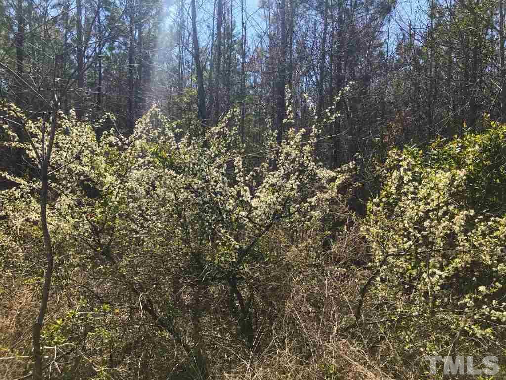 Tbd Mill Creek Road Roxboro, NC 27574 - Photo 12 of 29