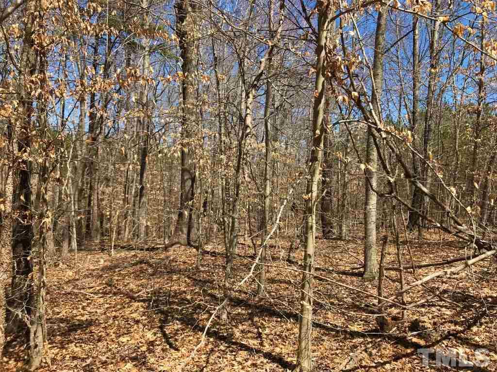 Tbd Mill Creek Road Roxboro, NC 27574 - Photo 13 of 29