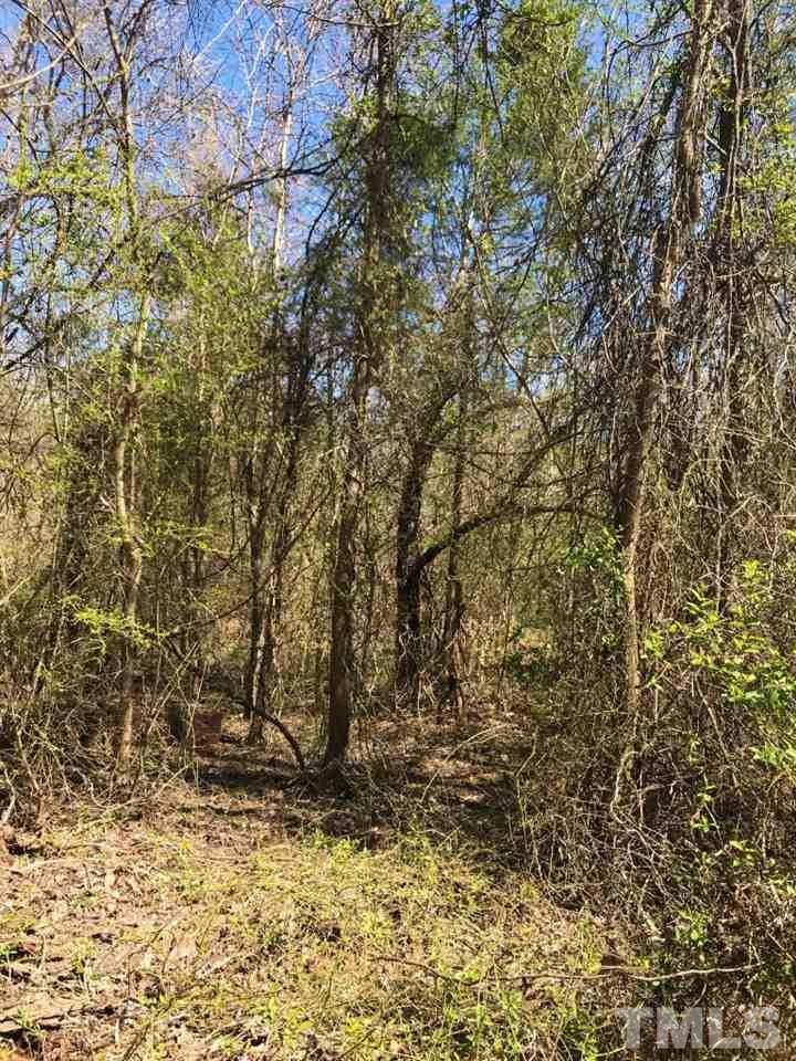 Tbd Mill Creek Road Roxboro, NC 27574 - Photo 24 of 29