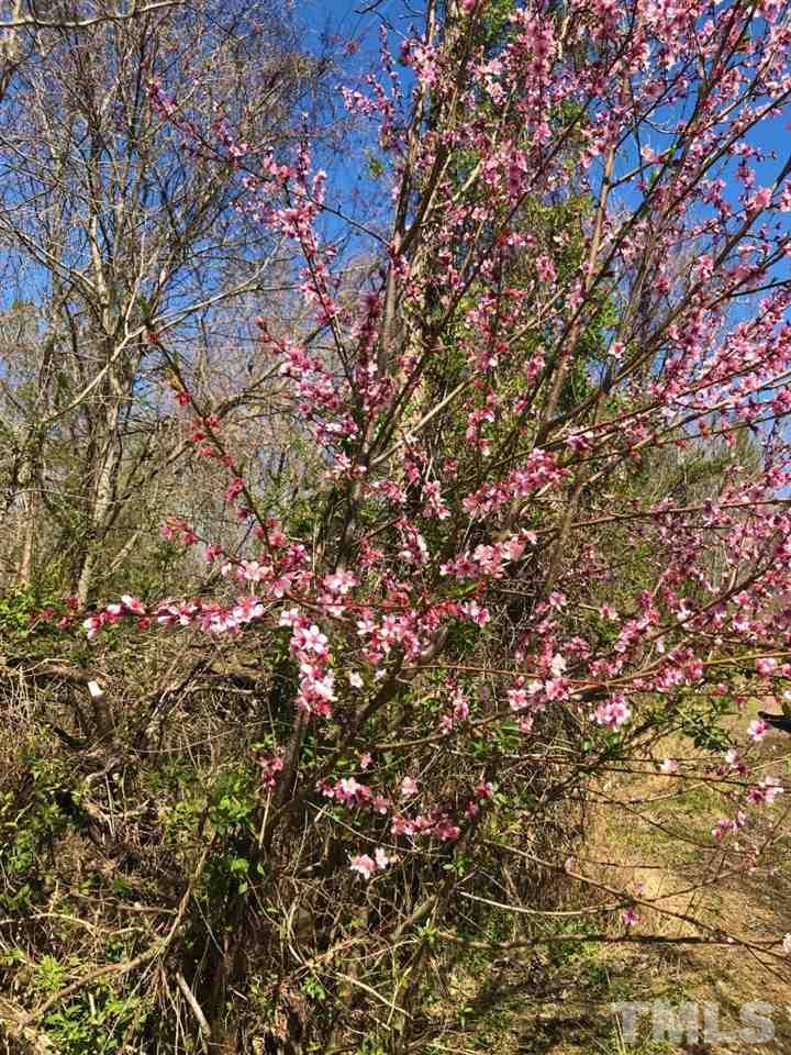 Tbd Mill Creek Road Roxboro, NC 27574 - Photo 25 of 29