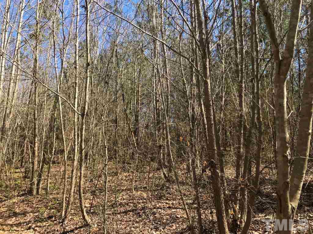 Tbd Mill Creek Road Roxboro, NC 27574 - Photo 27 of 29