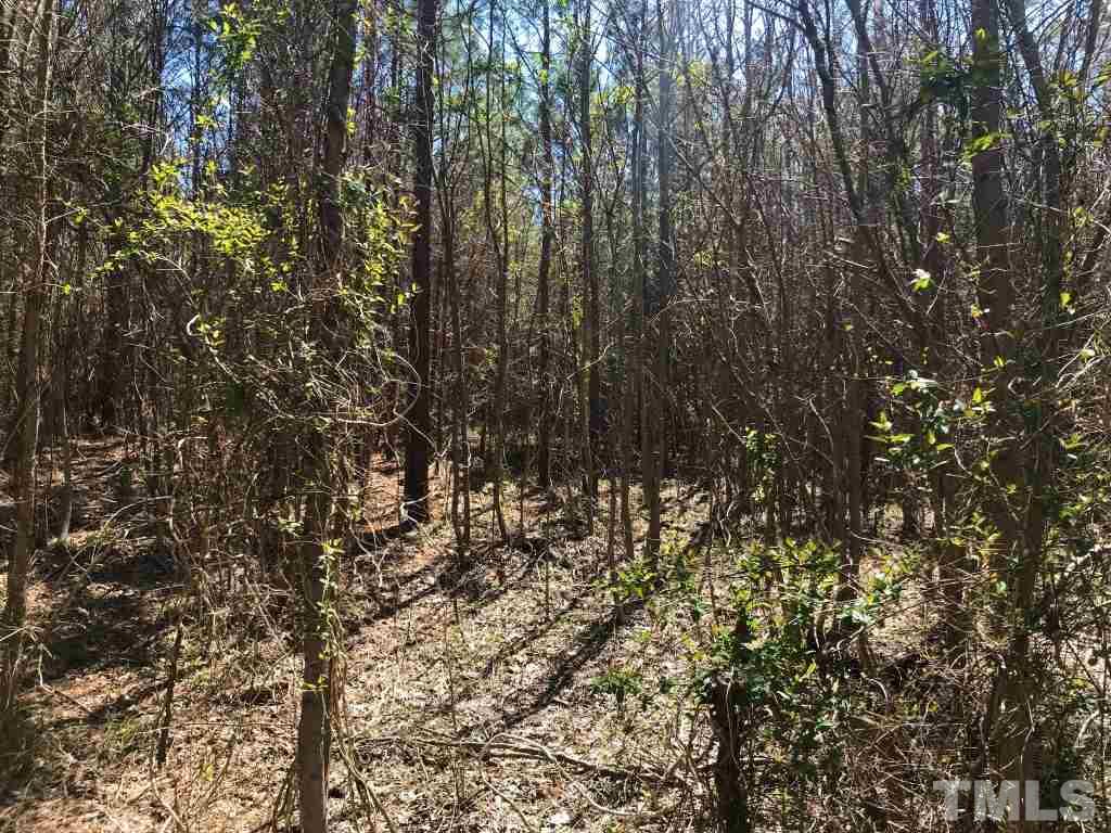 Tbd Mill Creek Road Roxboro, NC 27574 - Photo 28 of 29