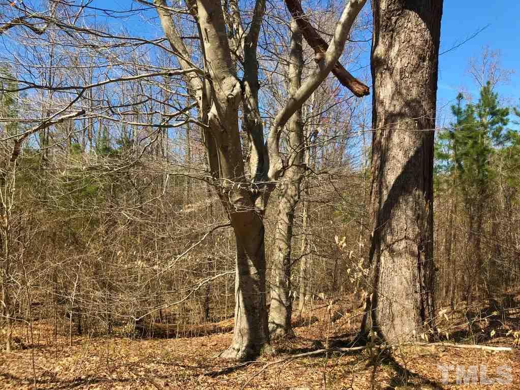Tbd Mill Creek Road Roxboro, NC 27574 - Photo 4 of 29