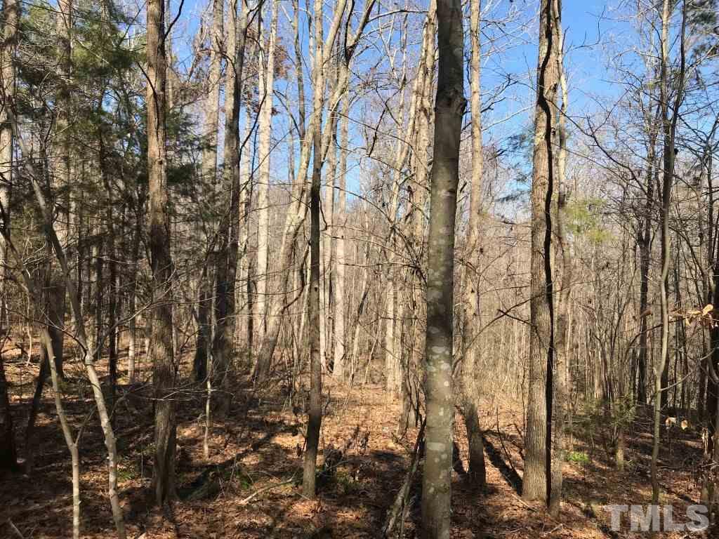 Tbd Mill Creek Road Roxboro, NC 27574 - Photo 9 of 29