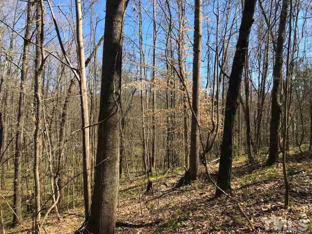 Tbd Mill Creek Road Roxboro, NC 27574 - Photo 10 of 29