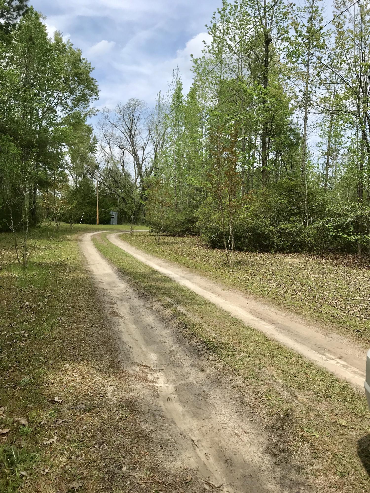 3466 Cross Swamp Road Islandton, SC 29929 - Photo 1 of 20 7F4BDE6D-8E3D-443E-B8BE-32F757FC35C0