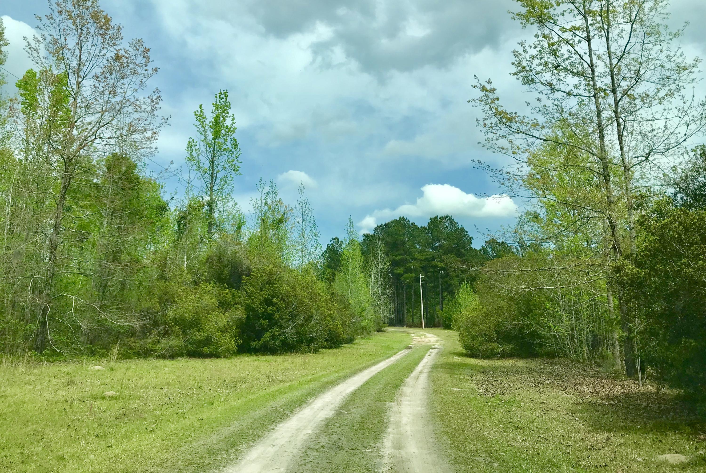 3466 Cross Swamp Road Islandton, SC 29929 - Photo 2 of 20 2C215F93-8511-48A1-9804-262AC03AA393