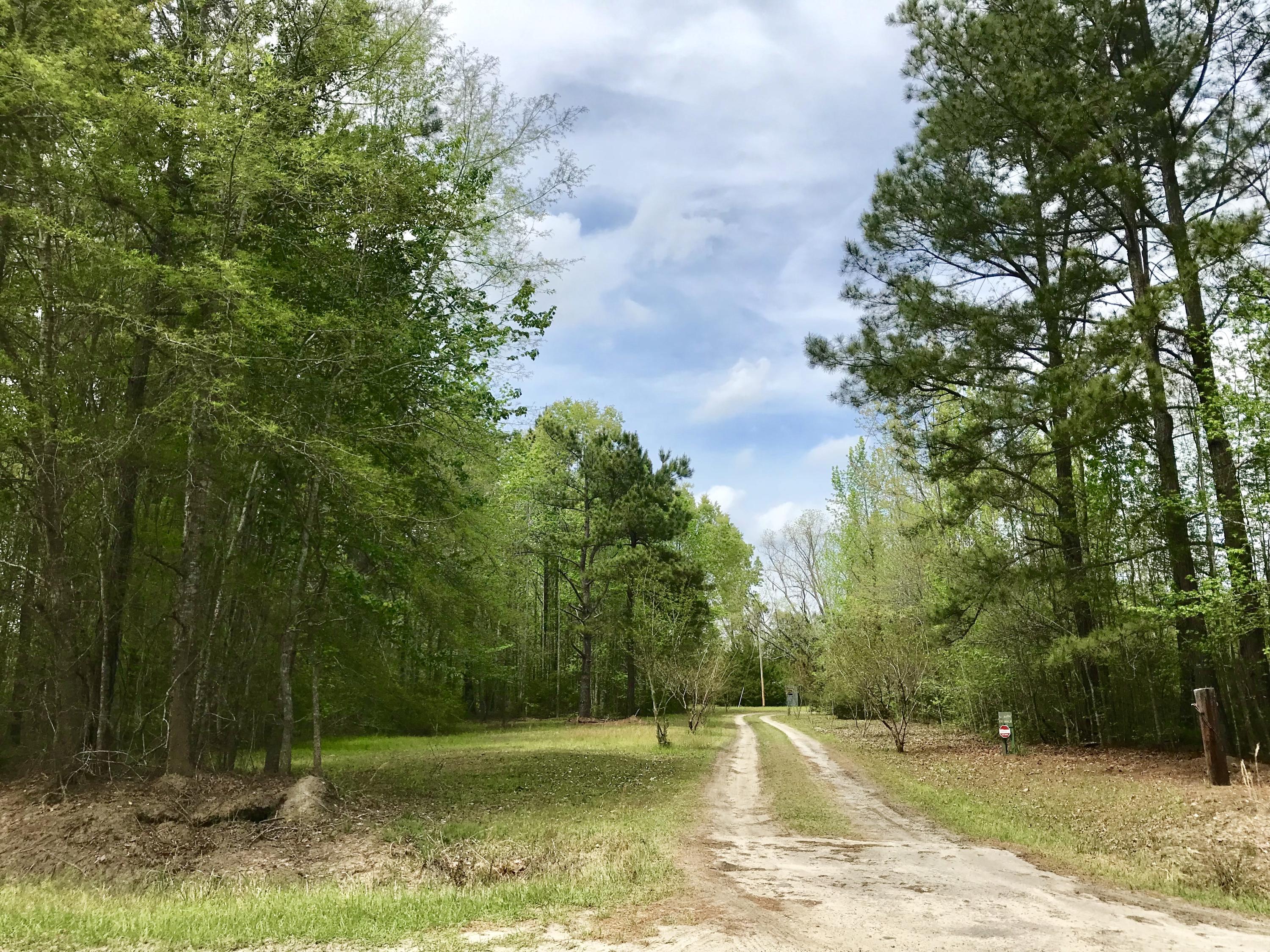 3466 Cross Swamp Road Islandton, SC 29929 - Photo 3 of 20 F6DA4806-A9FF-4F1F-8A50-46F398C4D9CD