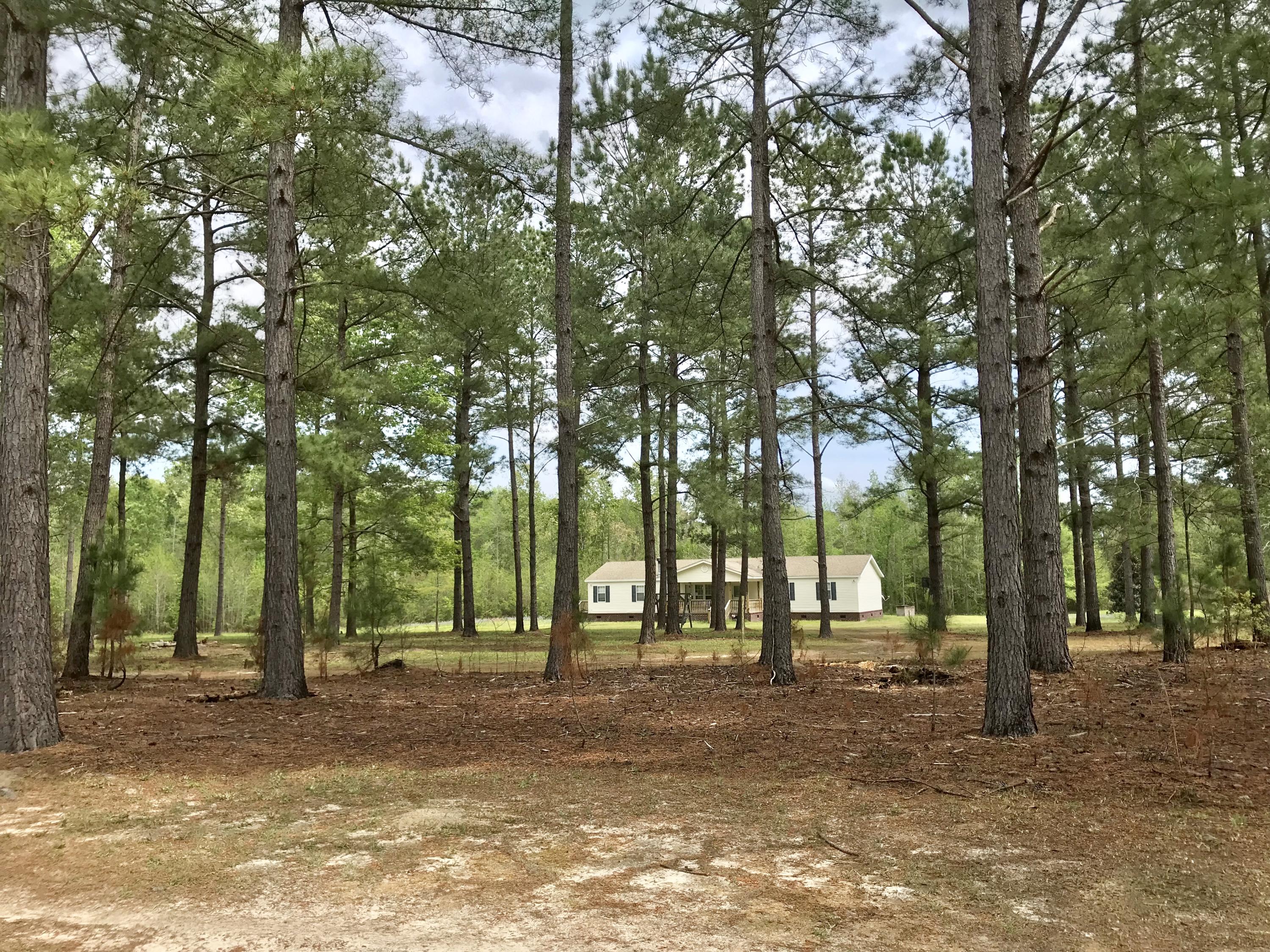 3466 Cross Swamp Road Islandton, SC 29929 - Photo 4 of 20 61A1DC32-05F4-4F07-B76F-6163A0DE301C
