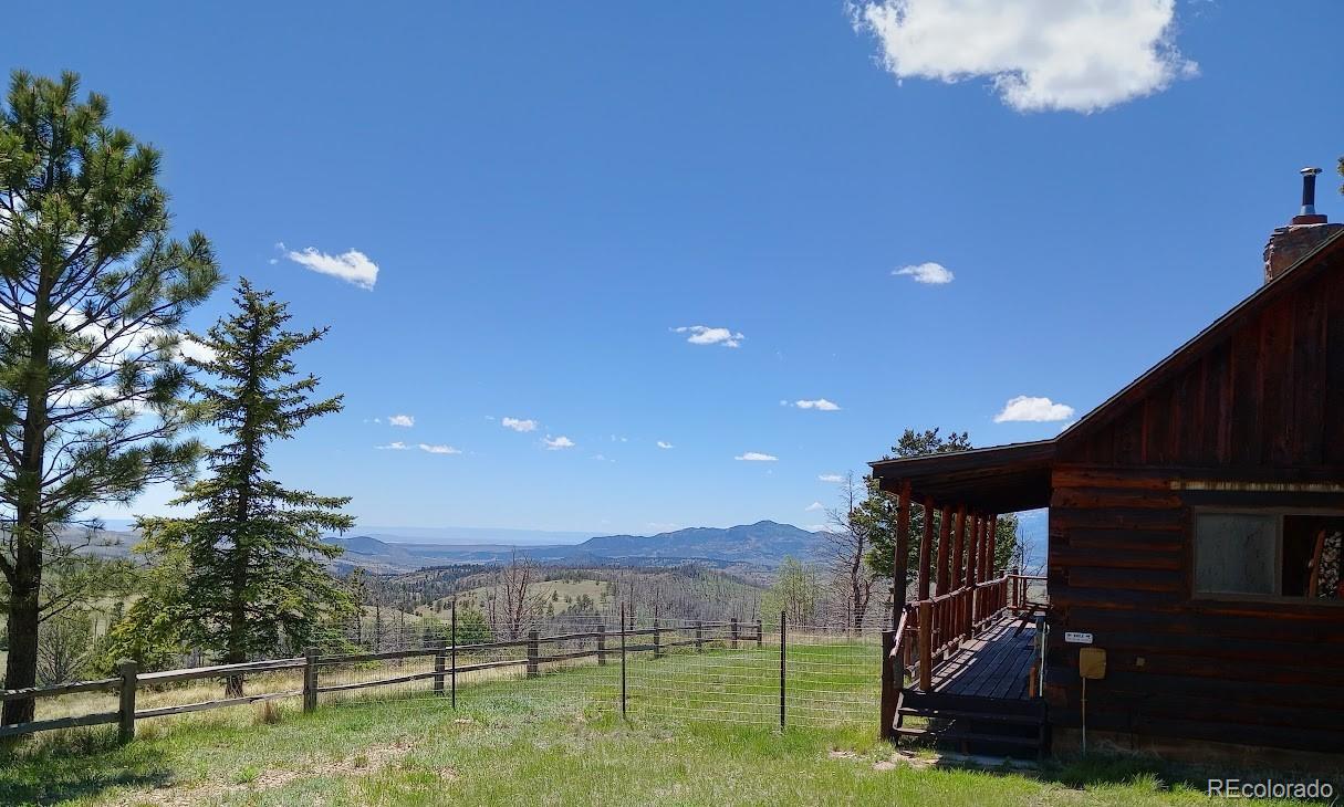 4653 Schierl Road Fort Garland, CO 81133 - Photo 10 of 44