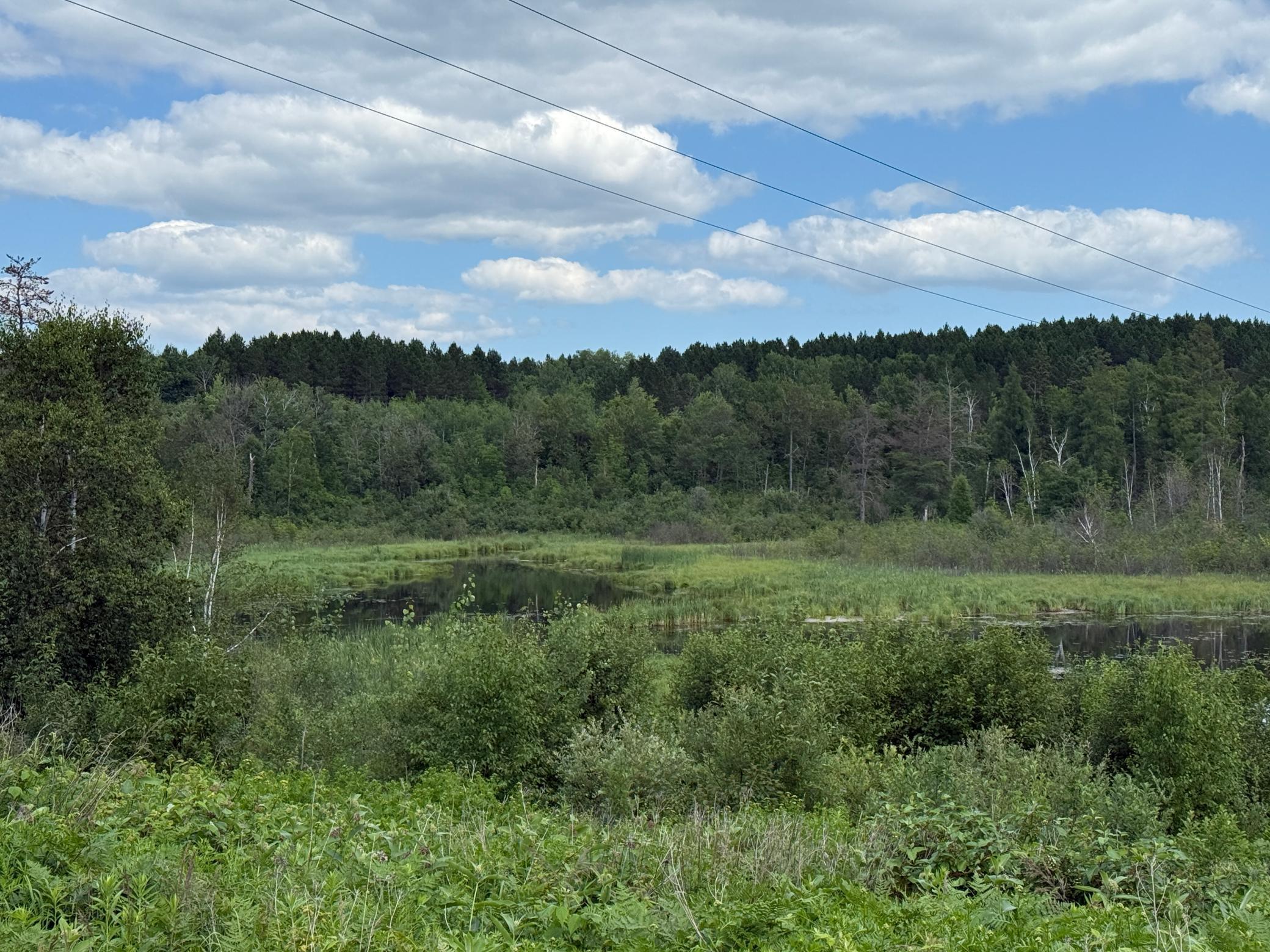 Tbd (option C) Tbd (option C) Maple Grove Road Cloquet, MN 55720 - Photo 11 of 51