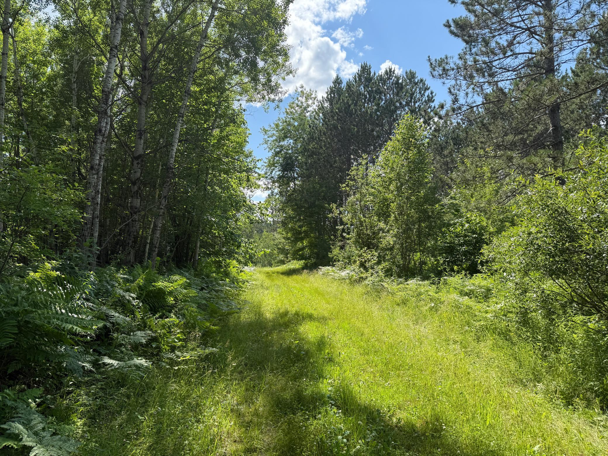 Tbd (option C) Tbd (option C) Maple Grove Road Cloquet, MN 55720 - Photo 15 of 51