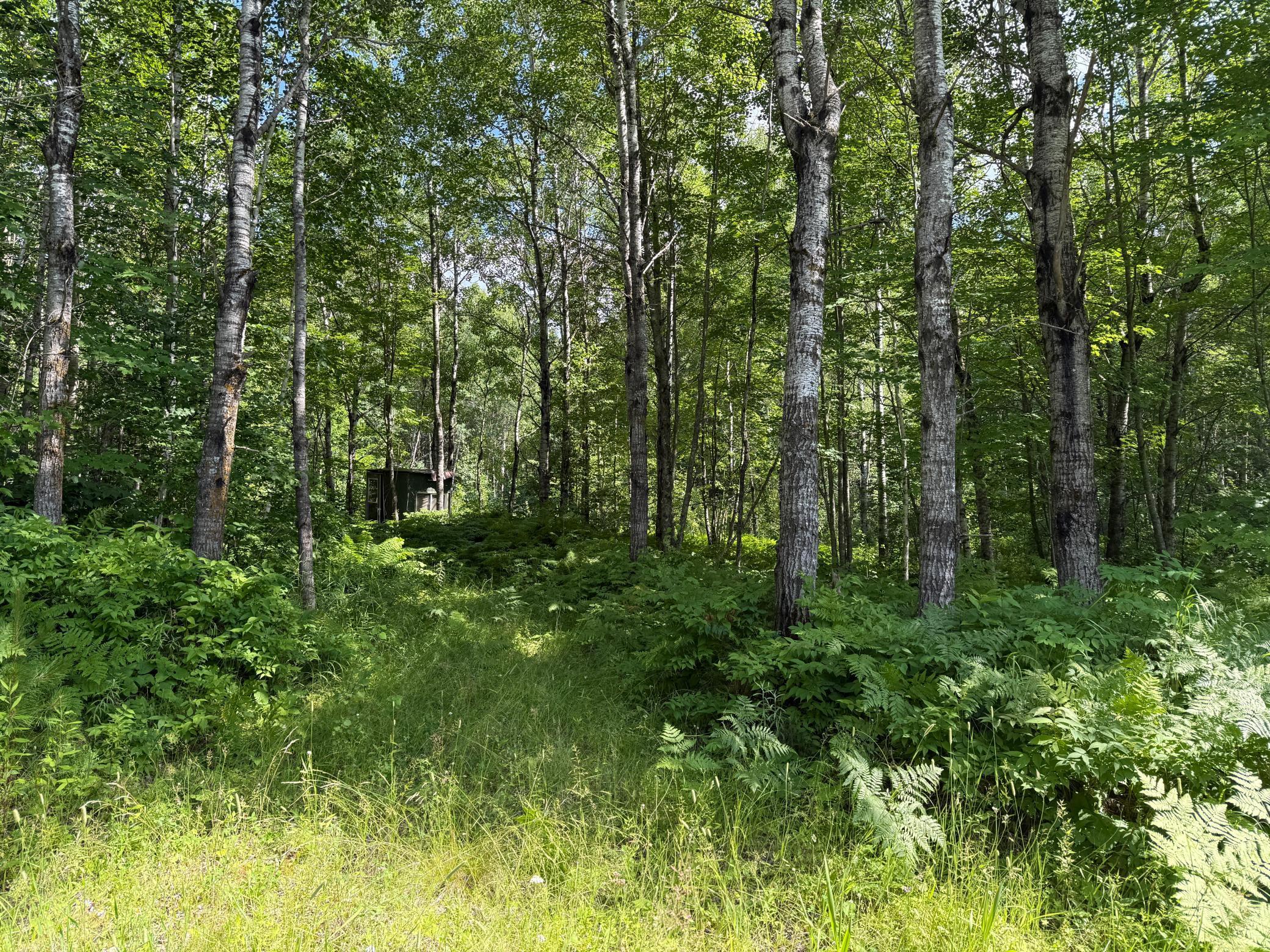 Tbd (option C) Tbd (option C) Maple Grove Road Cloquet, MN 55720 - Photo 17 of 51