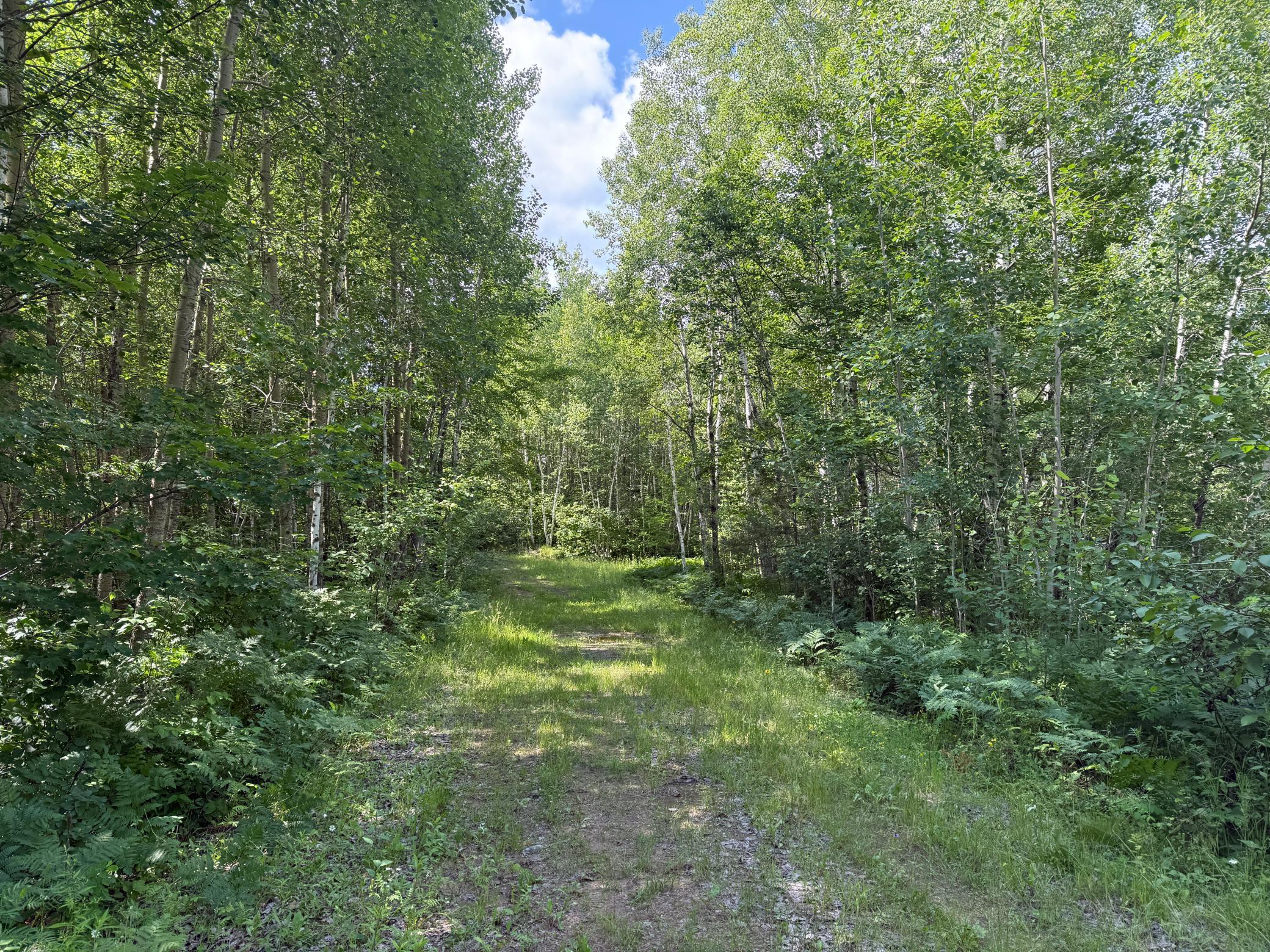 Tbd (option C) Tbd (option C) Maple Grove Road Cloquet, MN 55720 - Photo 19 of 51