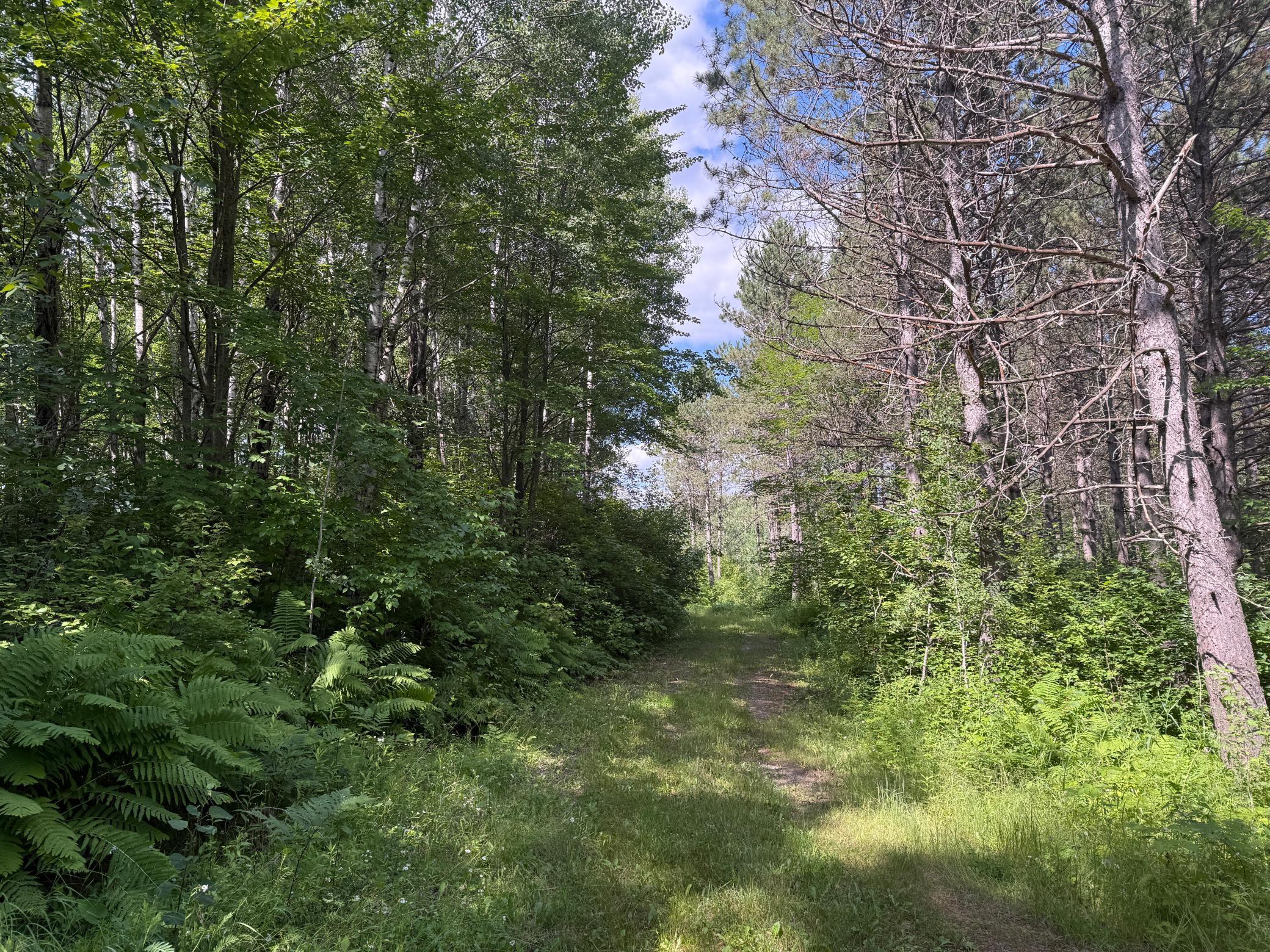 Tbd (option C) Tbd (option C) Maple Grove Road Cloquet, MN 55720 - Photo 20 of 51