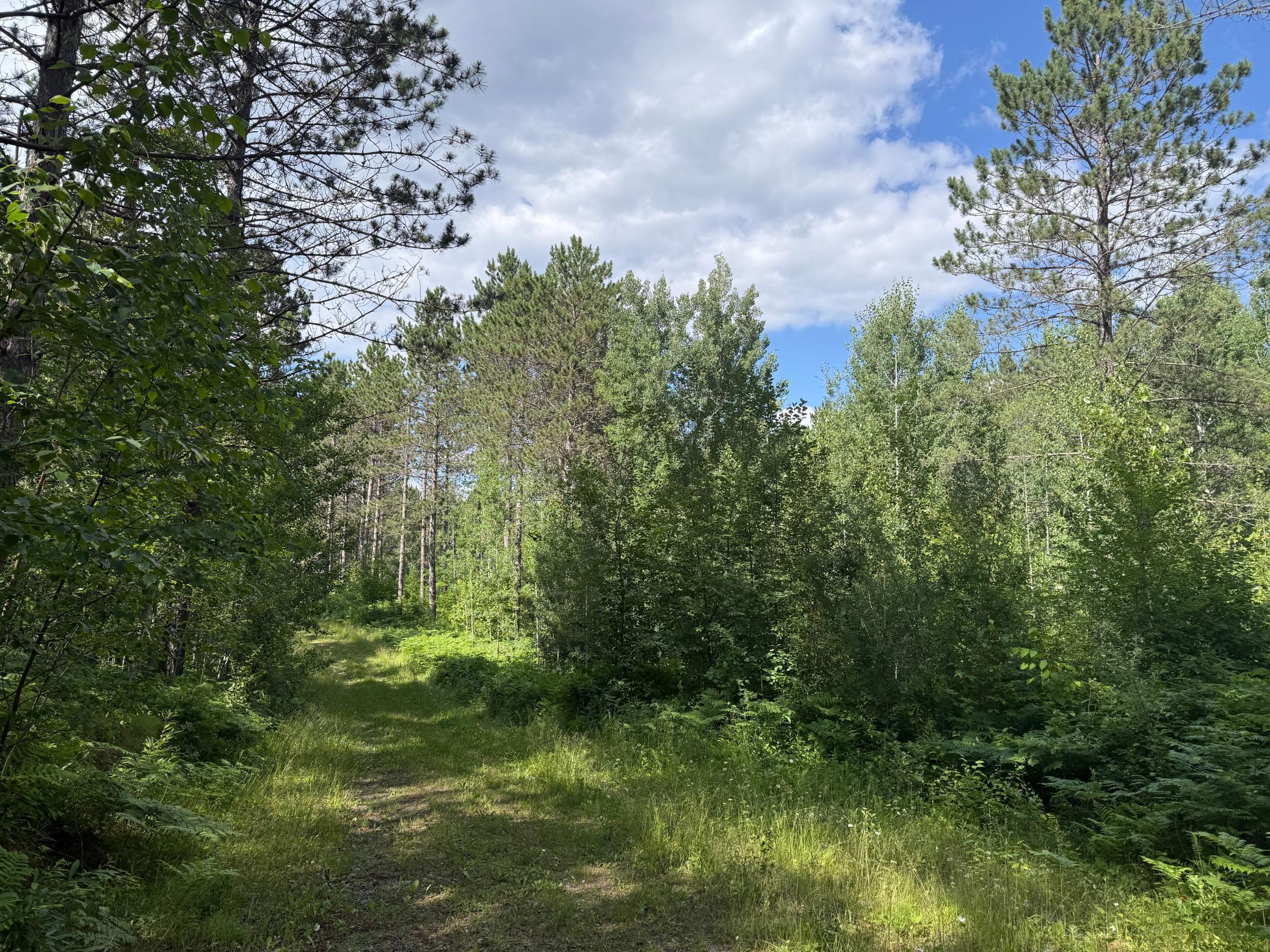 Tbd (option C) Tbd (option C) Maple Grove Road Cloquet, MN 55720 - Photo 22 of 51