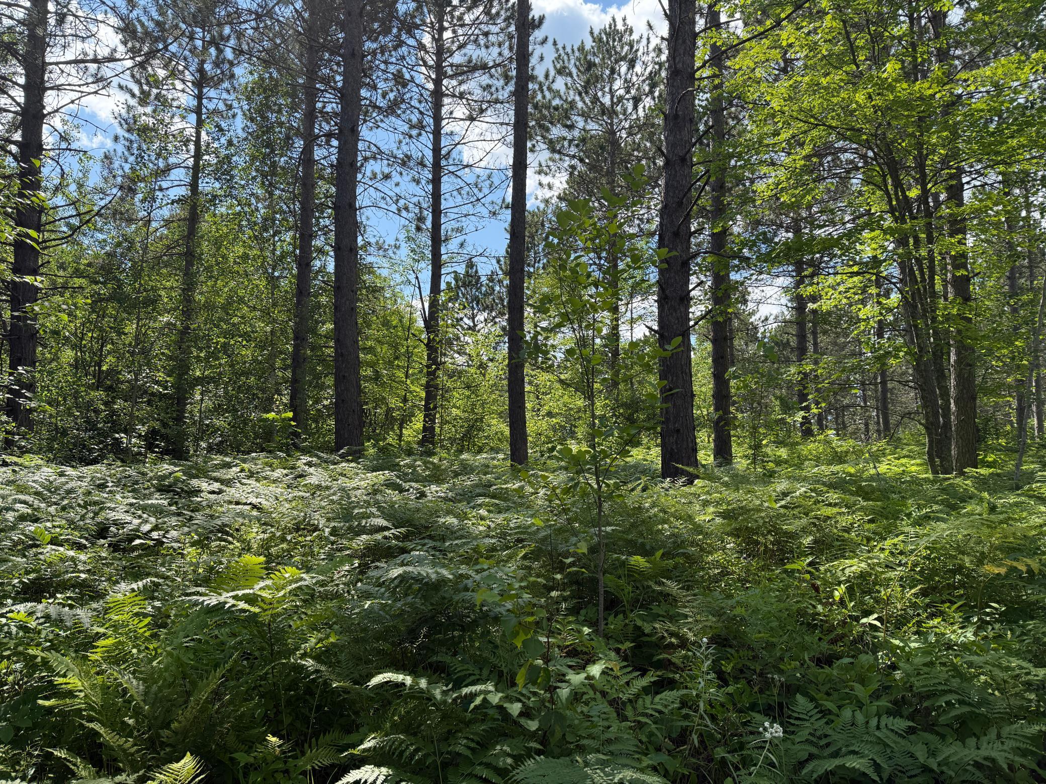 Tbd (option C) Tbd (option C) Maple Grove Road Cloquet, MN 55720 - Photo 23 of 51