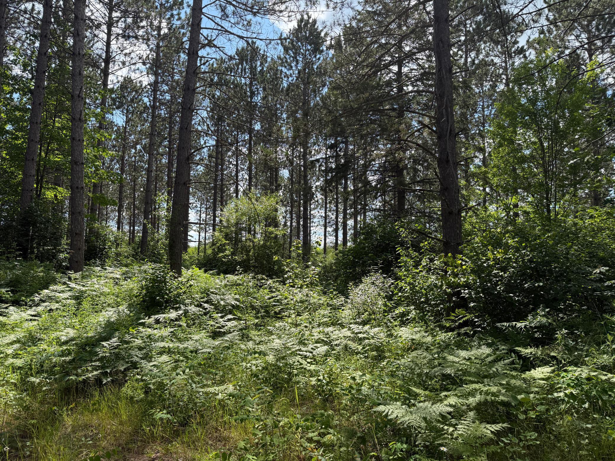 Tbd (option C) Tbd (option C) Maple Grove Road Cloquet, MN 55720 - Photo 26 of 51
