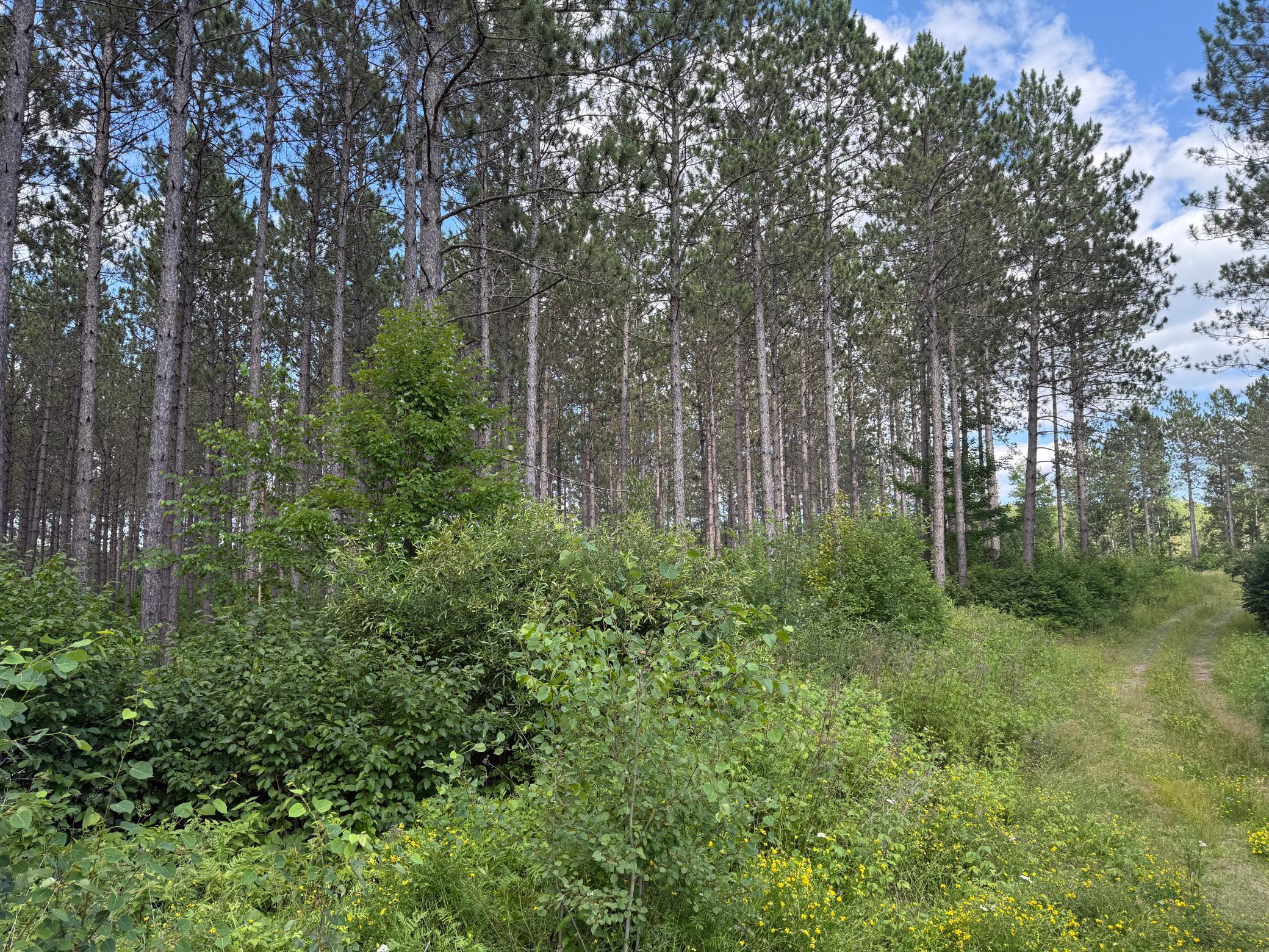 Tbd (option C) Tbd (option C) Maple Grove Road Cloquet, MN 55720 - Photo 27 of 51