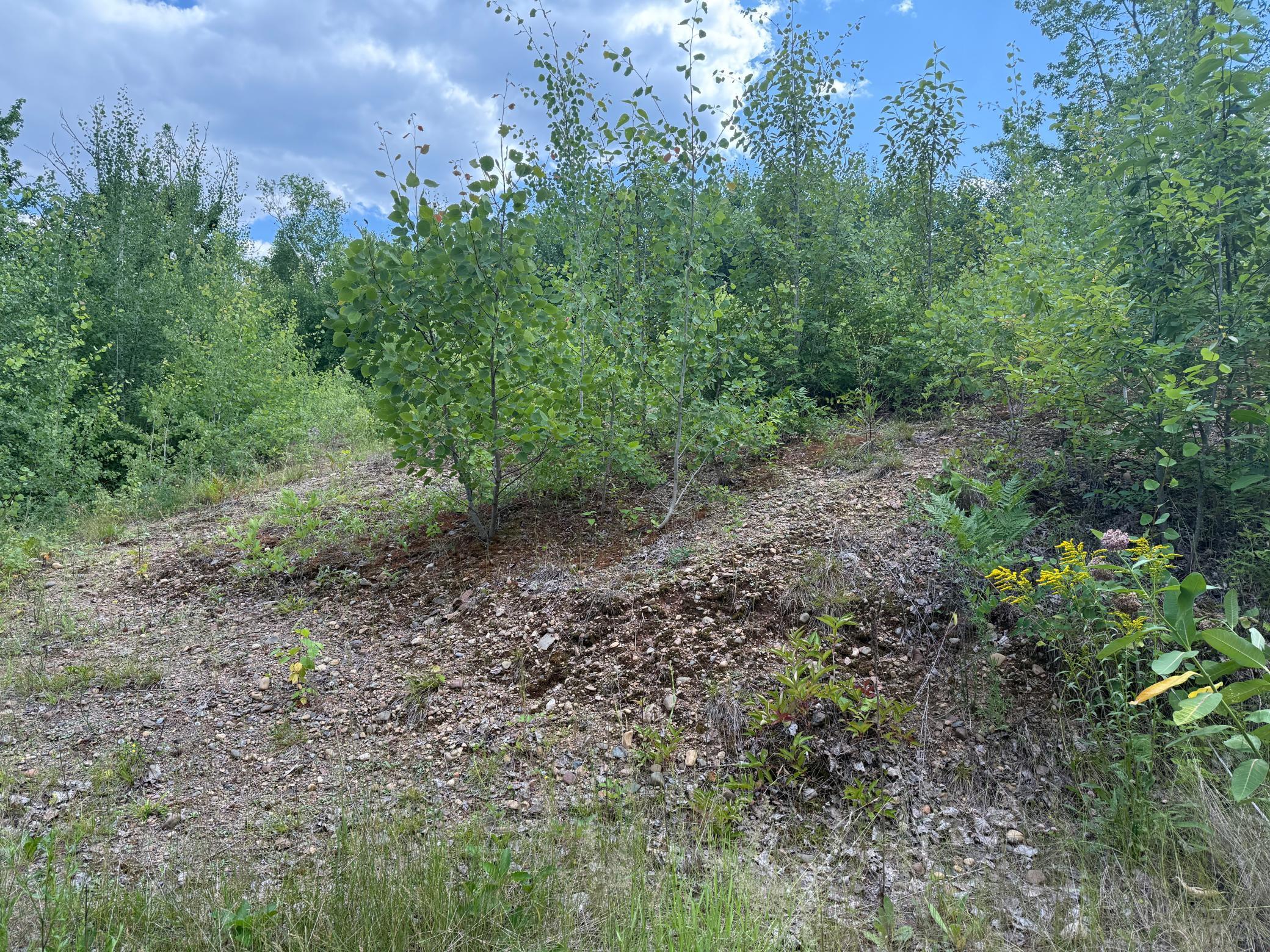 Tbd (option C) Tbd (option C) Maple Grove Road Cloquet, MN 55720 - Photo 30 of 51