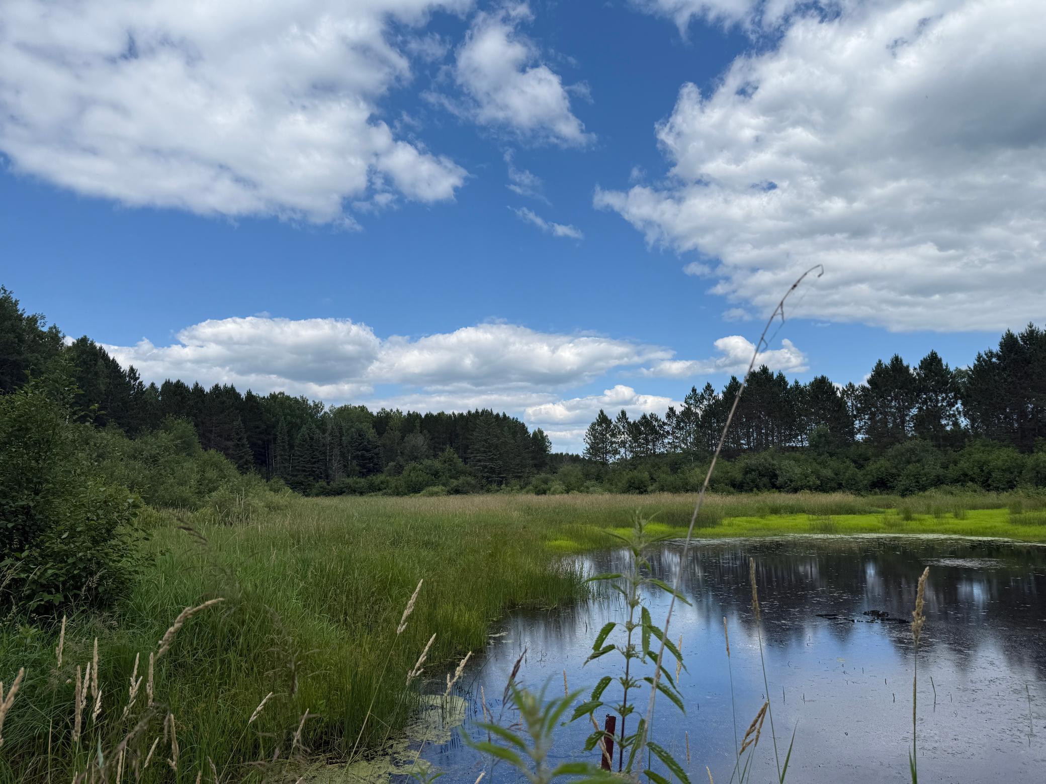 Tbd (option C) Tbd (option C) Maple Grove Road Cloquet, MN 55720 - Photo 41 of 51