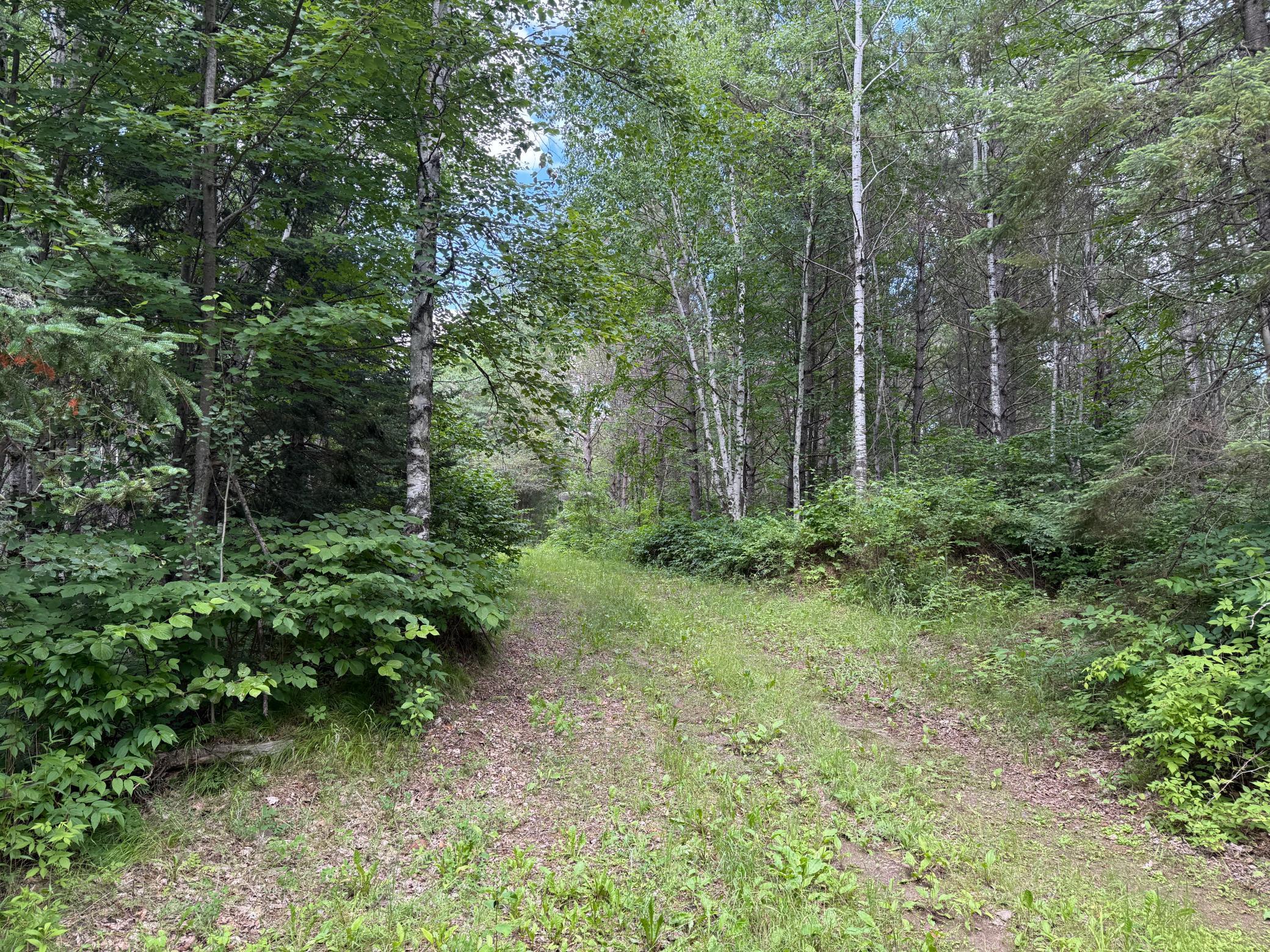 Tbd (option C) Tbd (option C) Maple Grove Road Cloquet, MN 55720 - Photo 42 of 51