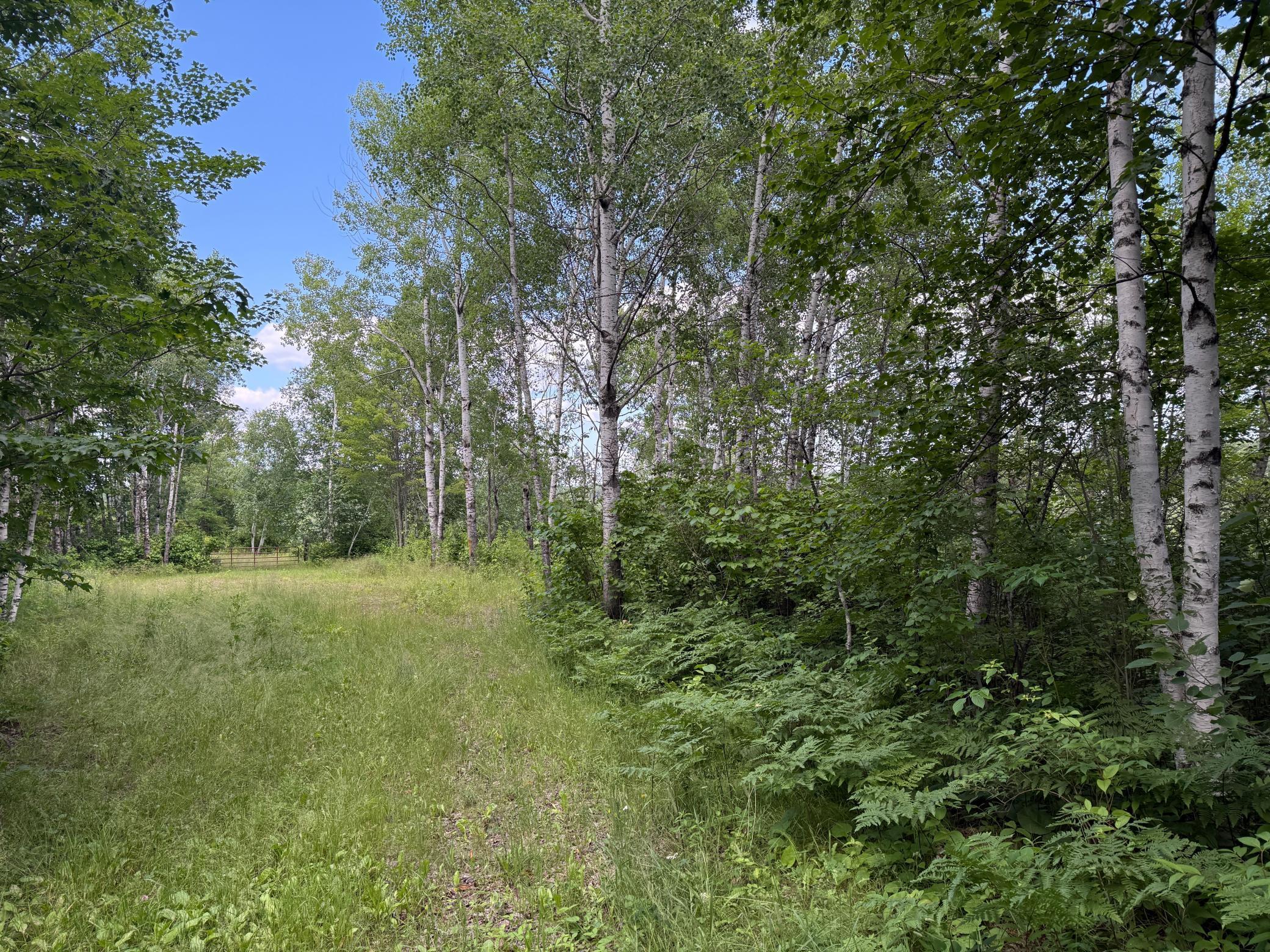 Tbd (option C) Tbd (option C) Maple Grove Road Cloquet, MN 55720 - Photo 45 of 51