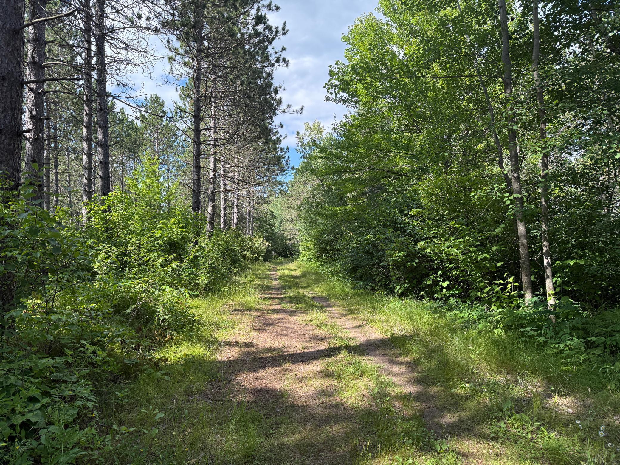 Tbd (option C) Tbd (option C) Maple Grove Road Cloquet, MN 55720 - Photo 6 of 51