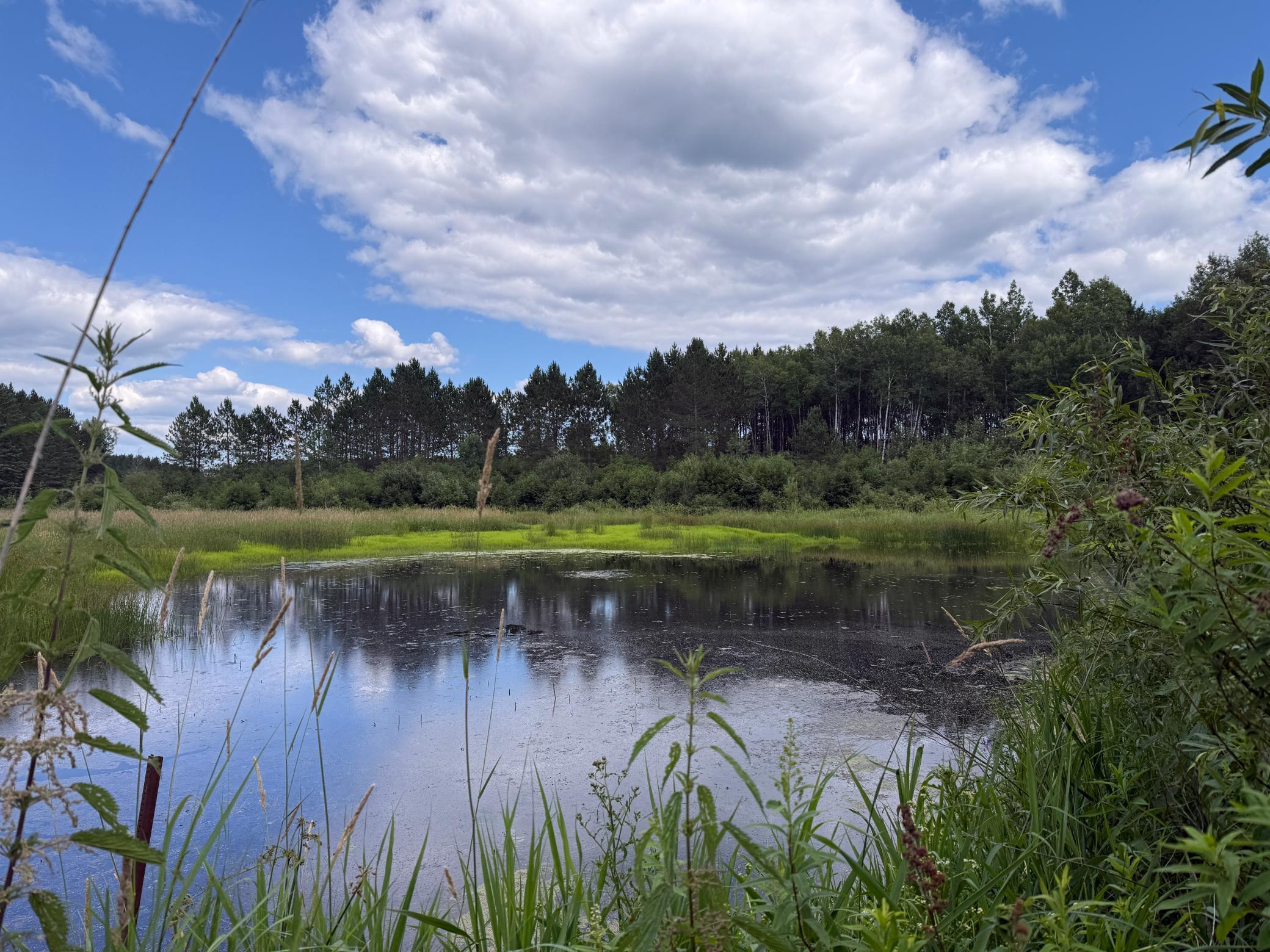 Tbd (option C) Tbd (option C) Maple Grove Road Cloquet, MN 55720 - Photo 8 of 51