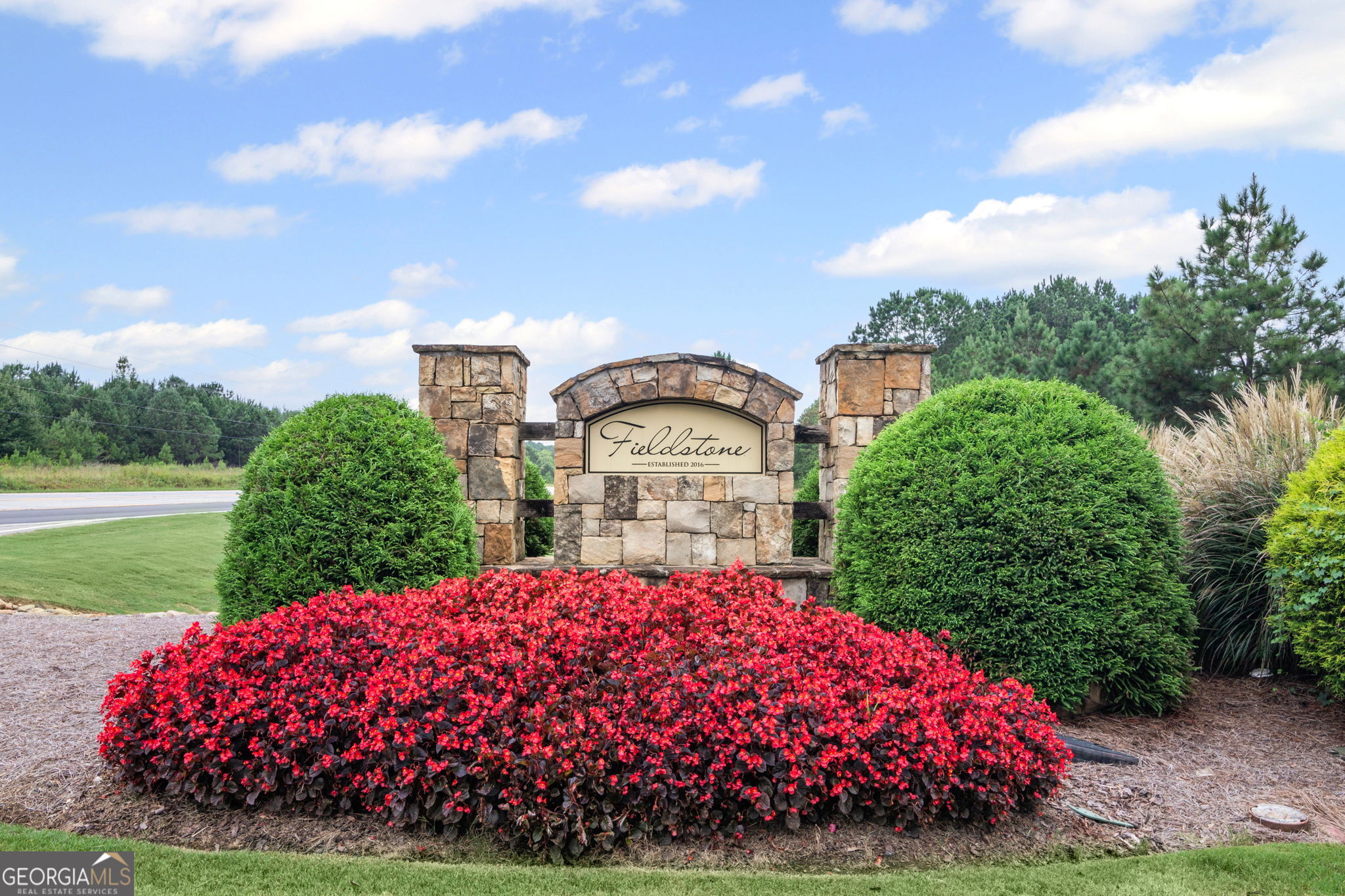 150 Duck Drive Senoia, GA 30276 - Photo 67 of 73 a view of a house with a big yard and potted plants