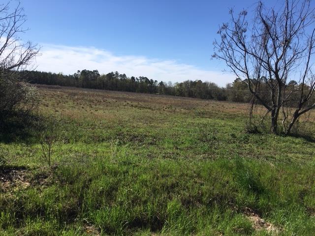 0 Northeast Furnie Jackson Road Ashford, AL 36312 - Photo 1 of 1