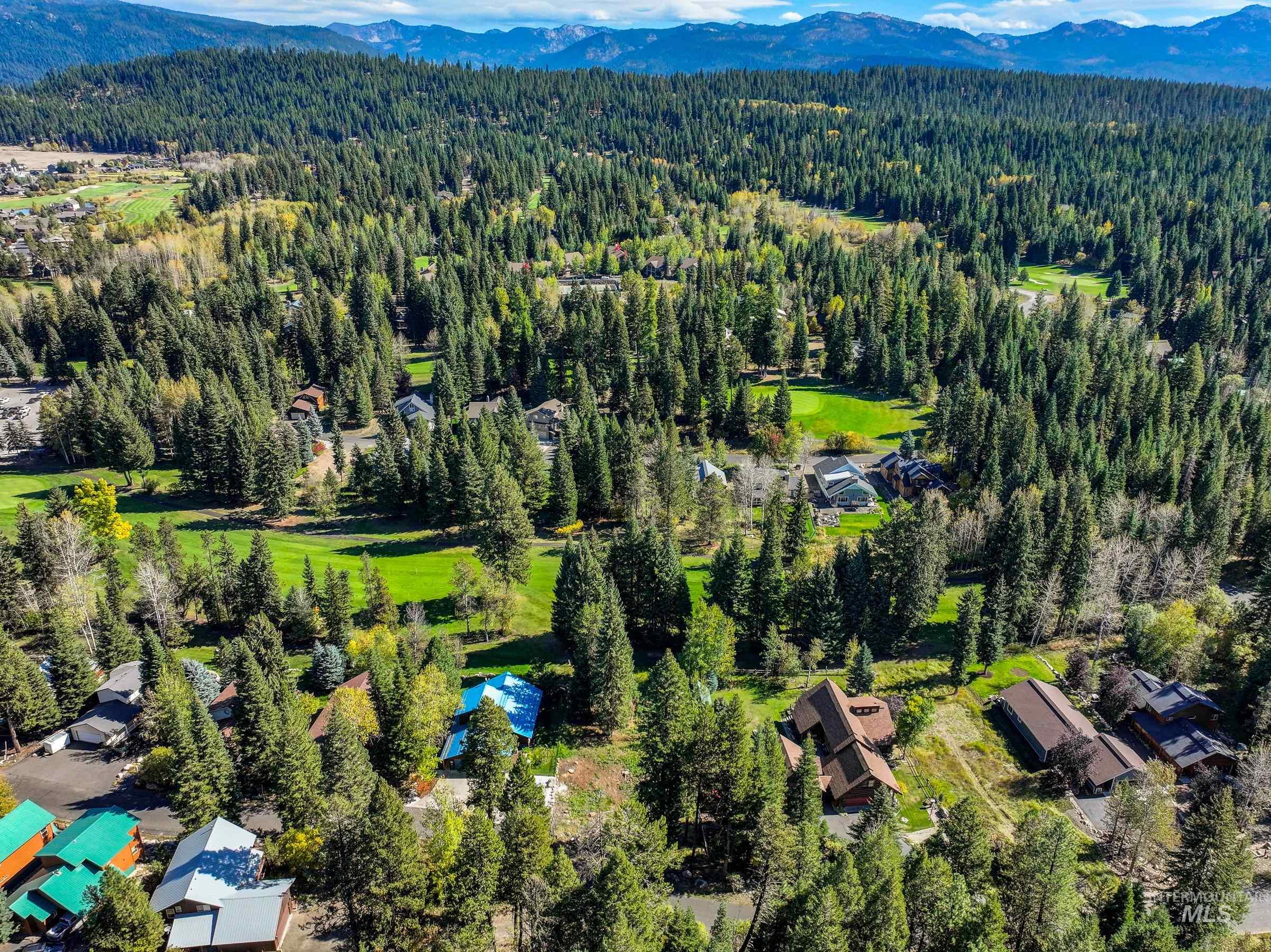 1365 Divot Lane McCall, ID 83638 - Photo 25 of 34 Drone / aerial view of a forest and mountains