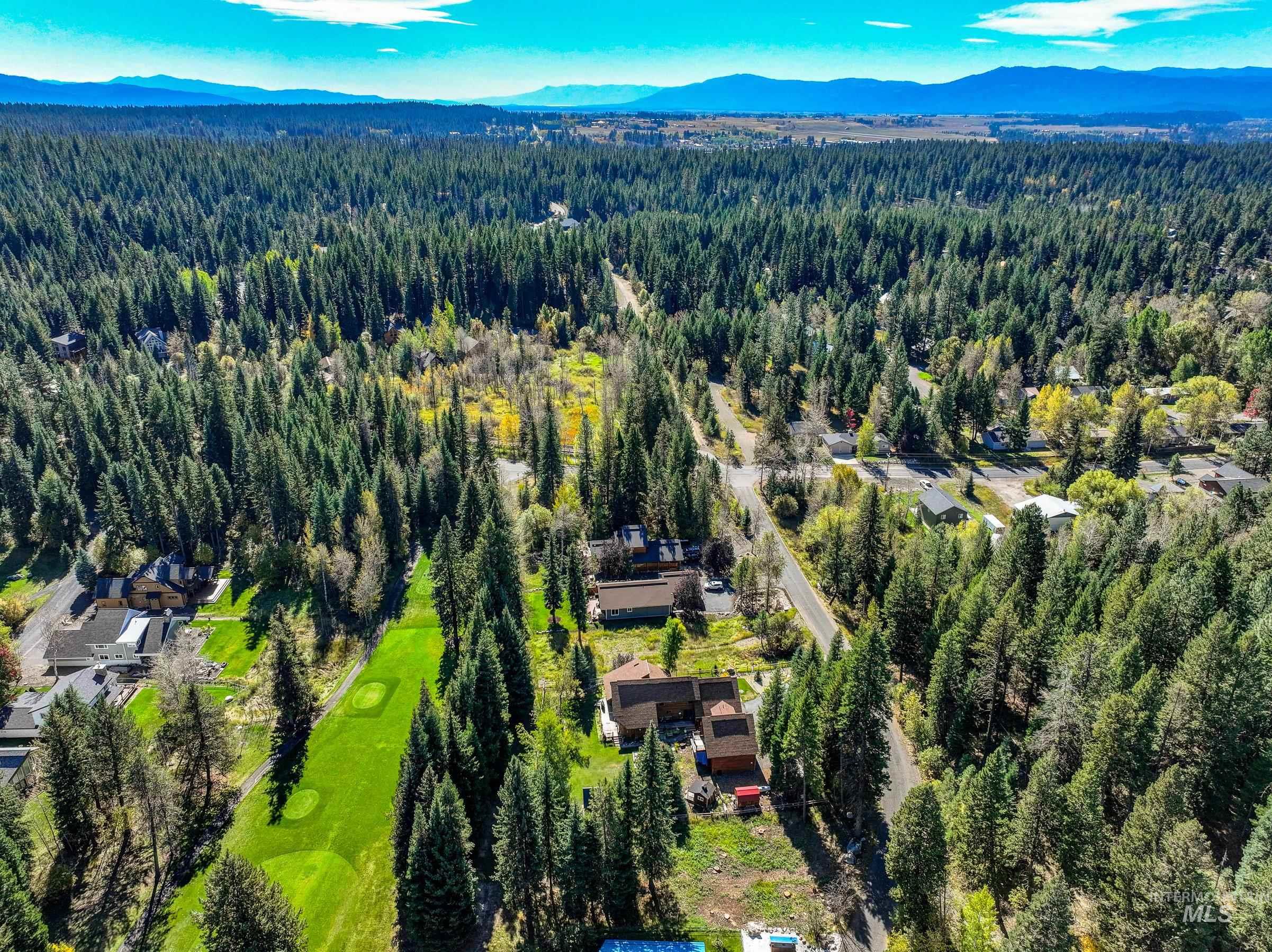 1365 Divot Lane McCall, ID 83638 - Photo 30 of 34 Bird's eye view of a forest and a mountainous background