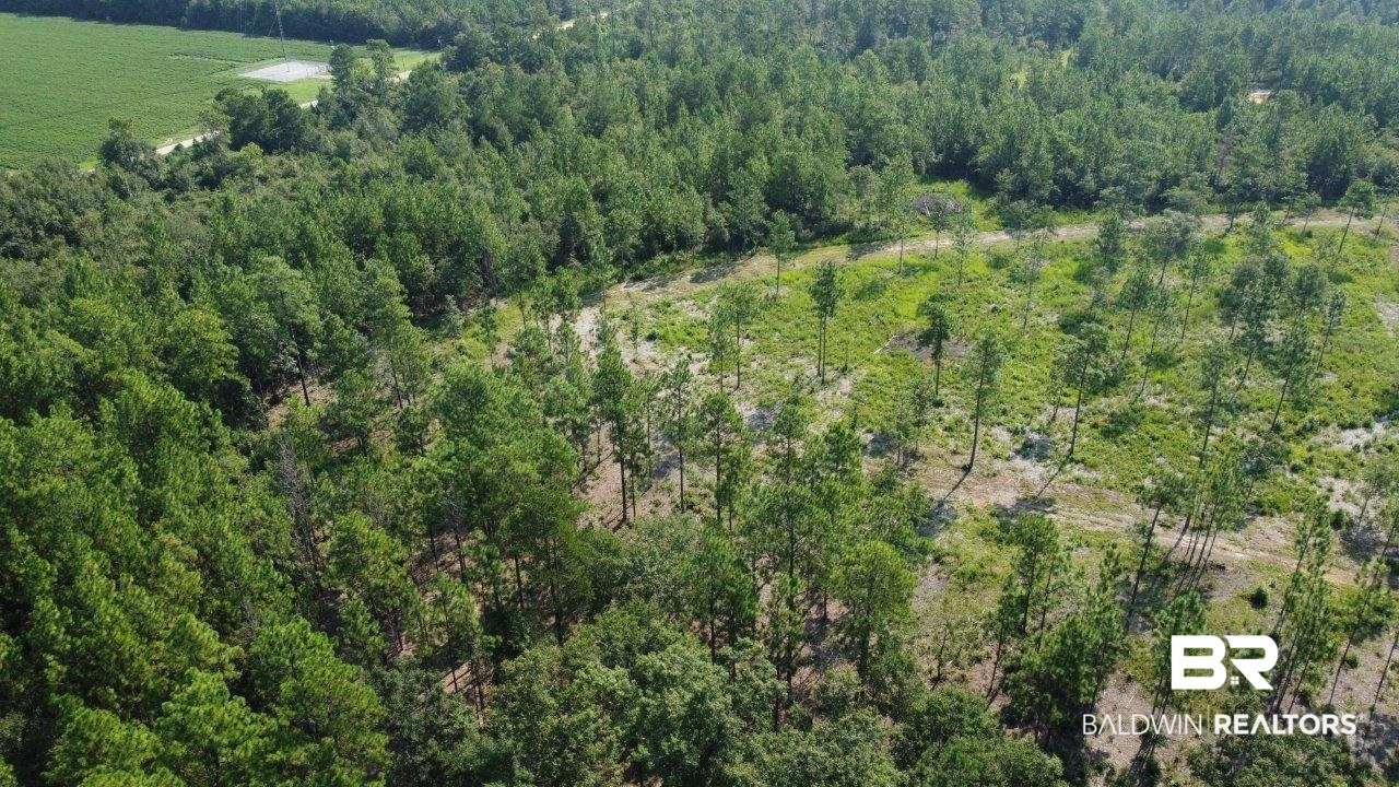0 Jerkins Loop Atmore, AL 36502 - Photo 46 of 50