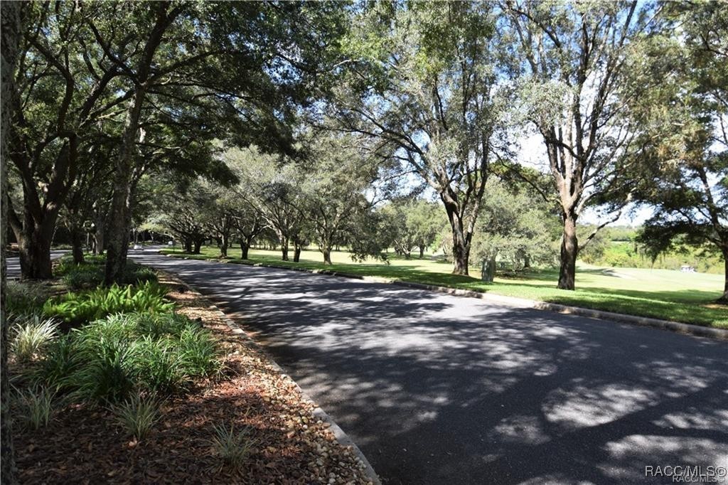 3810 West Crystal Downs Path Lecanto, FL 34461 - Photo 4 of 9