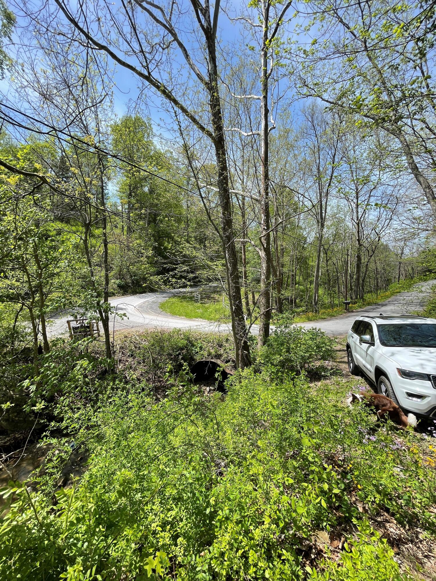 Creamery Road Alderson, WV 24910 - Photo 2 of 5 Gallery Image 2