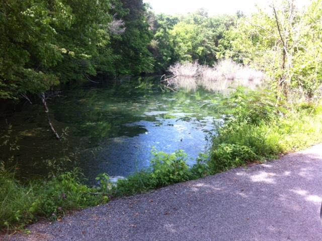 1426 Blue Buck Road Duck River, TN 38454 - Photo 2 of 9 Gallery Image 2