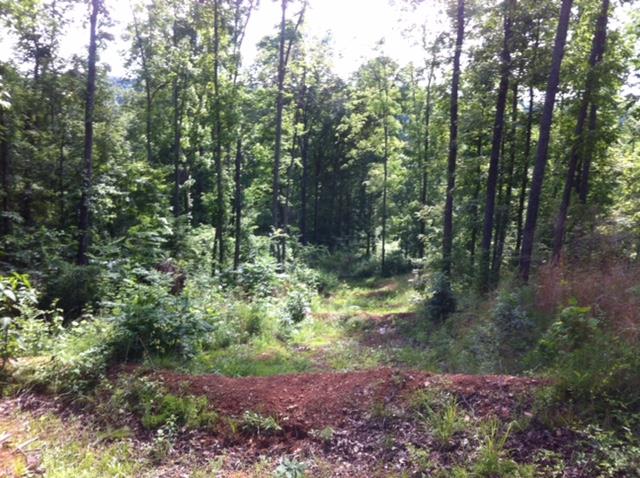 1426 Blue Buck Road Duck River, TN 38454 - Photo 8 of 9 Gallery Image 8