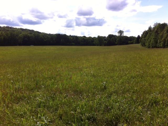 1426 Blue Buck Road Duck River, TN 38454 - Photo 9 of 9 Gallery Image 9