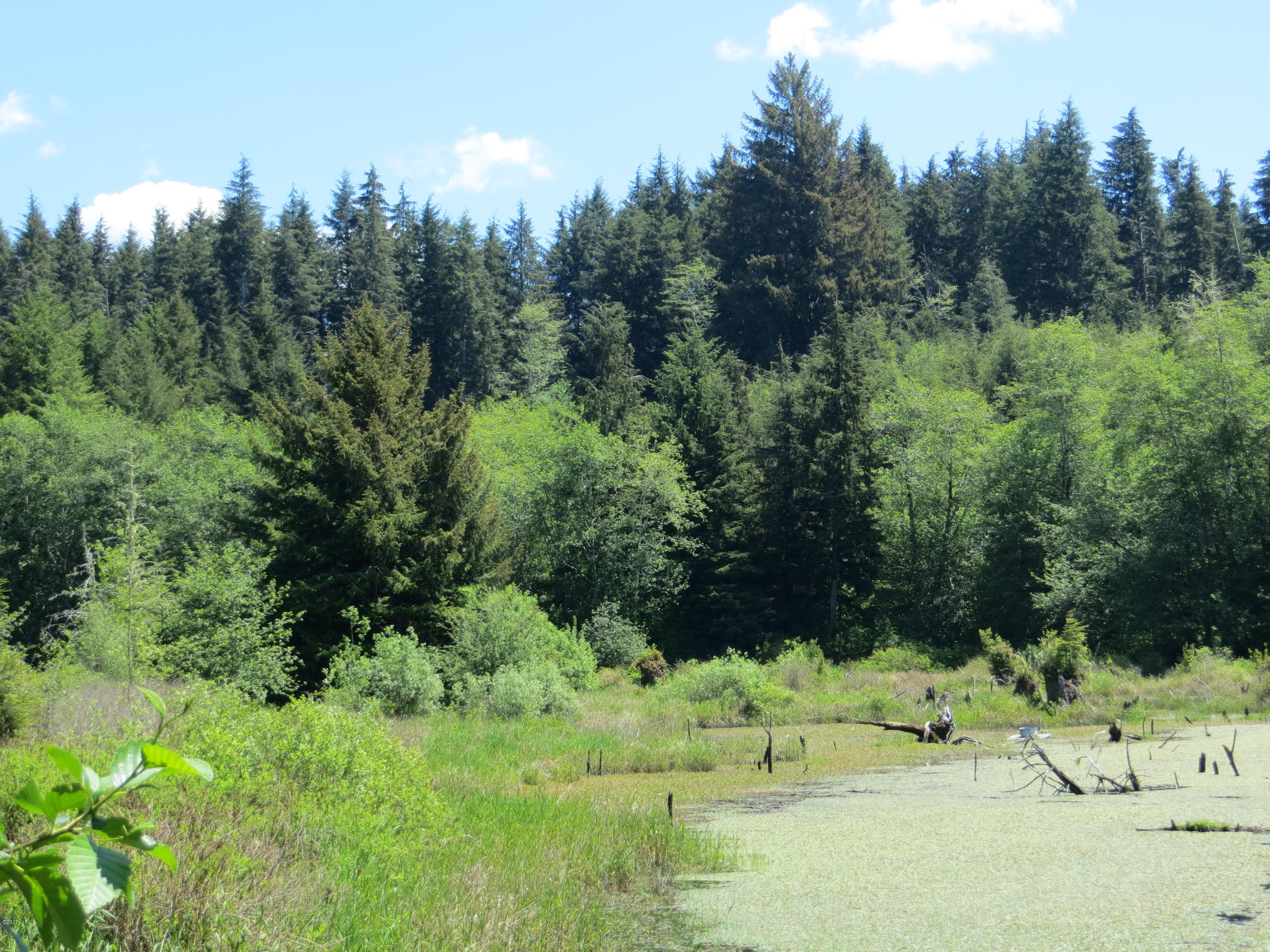Lot 15 Hamer Road Siletz, OR 97380 - Photo 12 of 23 Pond