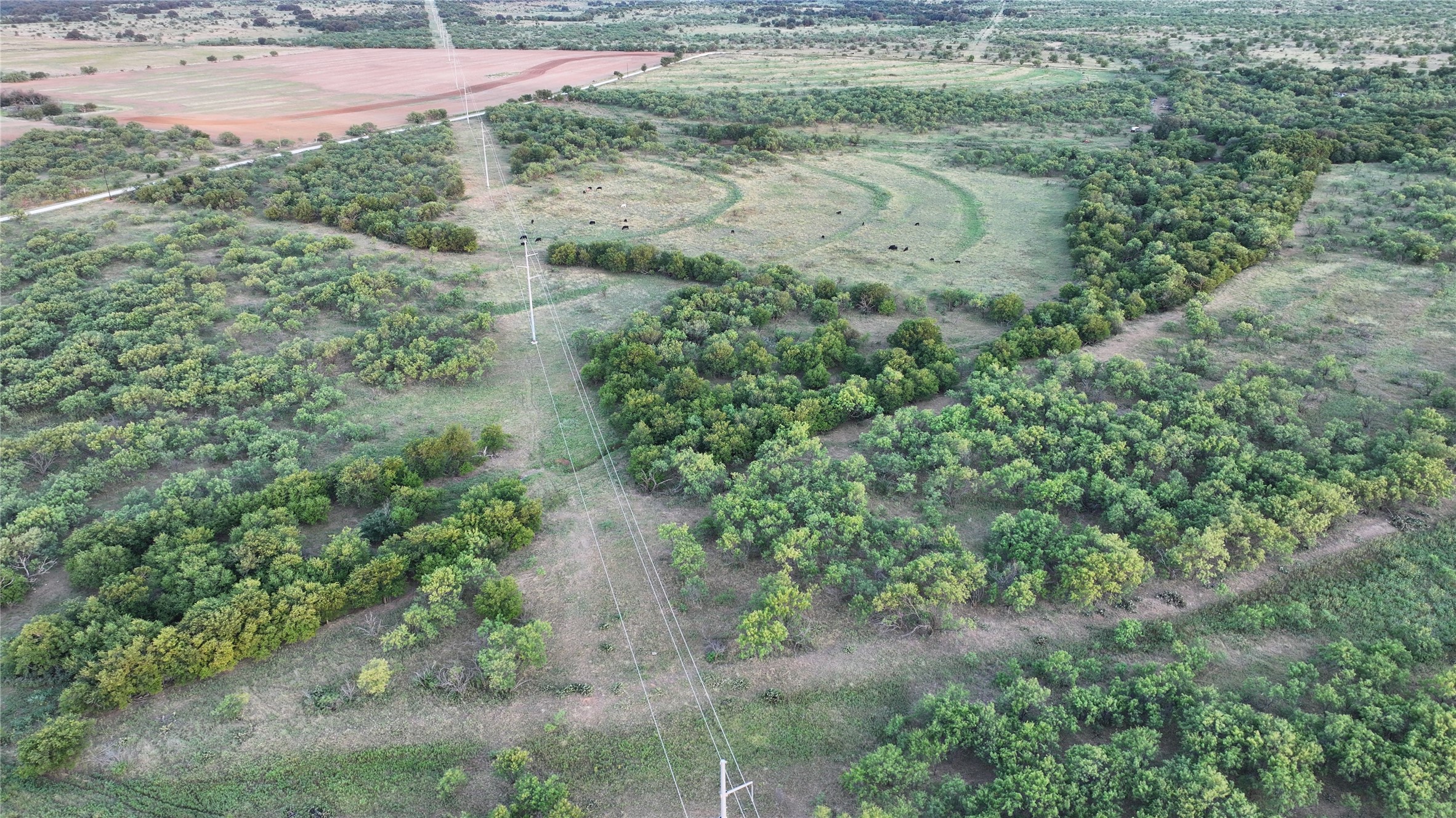 0 Butler Loop Graham, TX 76450 - Photo 4 of 12