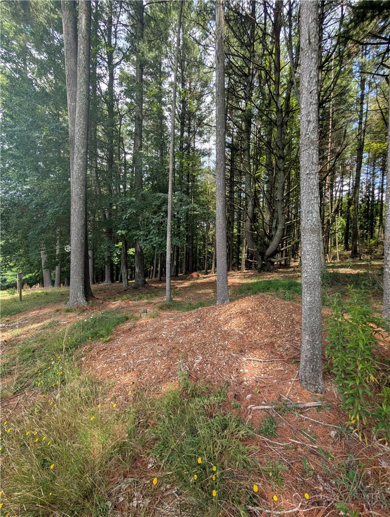 Doell Lane, Unit 20 Sparta, NC 28675 - Photo 6 of 18
