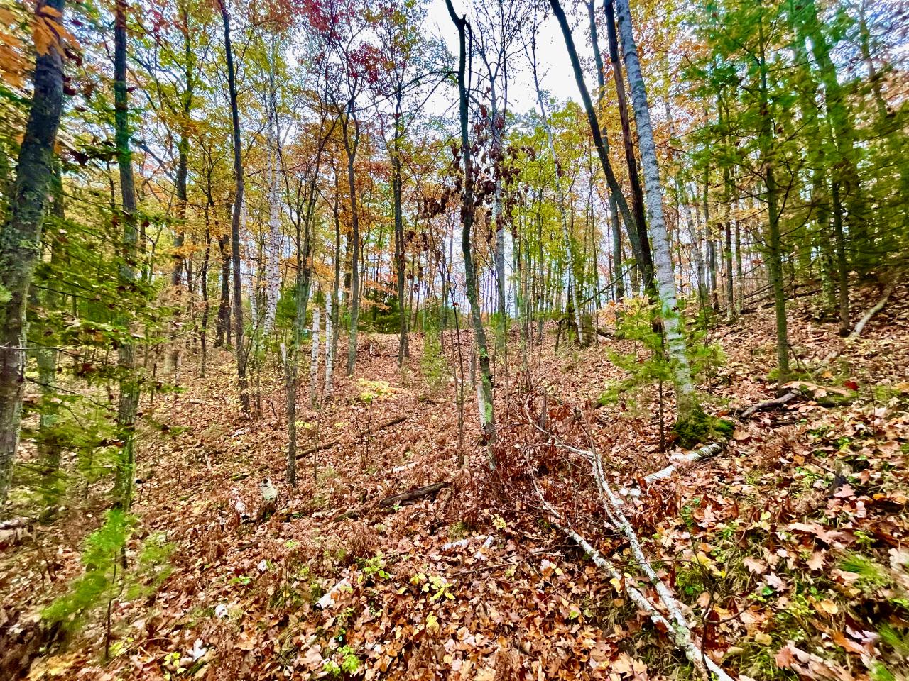 On On Witches Lake Road Woodruff, WI 54568 - Photo 4 of 13 Gallery Image 4