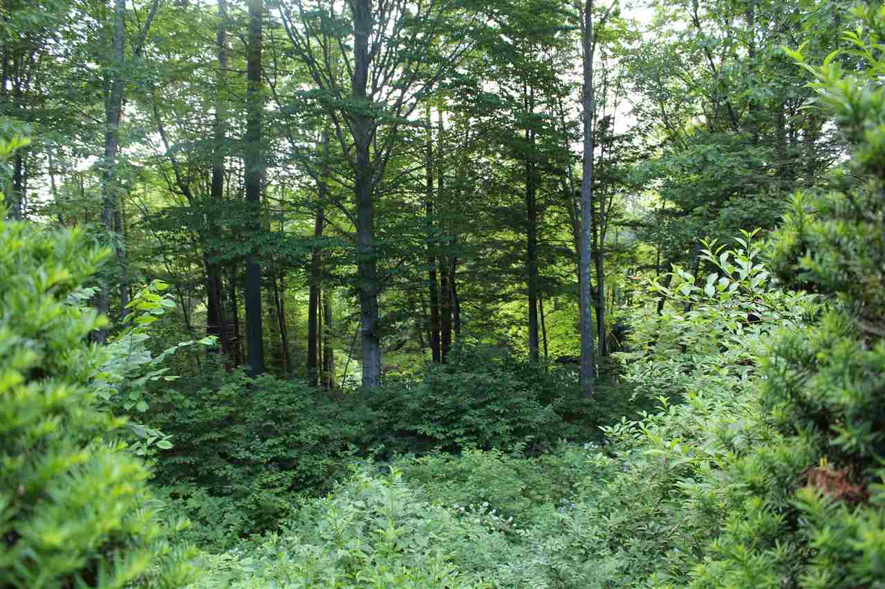 250 Amesbury Road Hopkinton, NH 03229 - Photo 24 of 24 Gallery Image 24